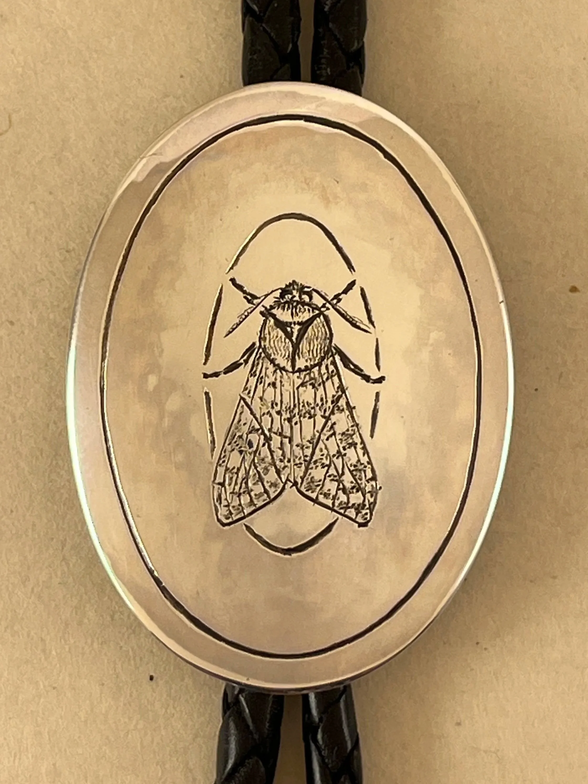 Moth Bolo, hickory tussock moth engraved on an oval sterling silver bolo tie with black leather cord