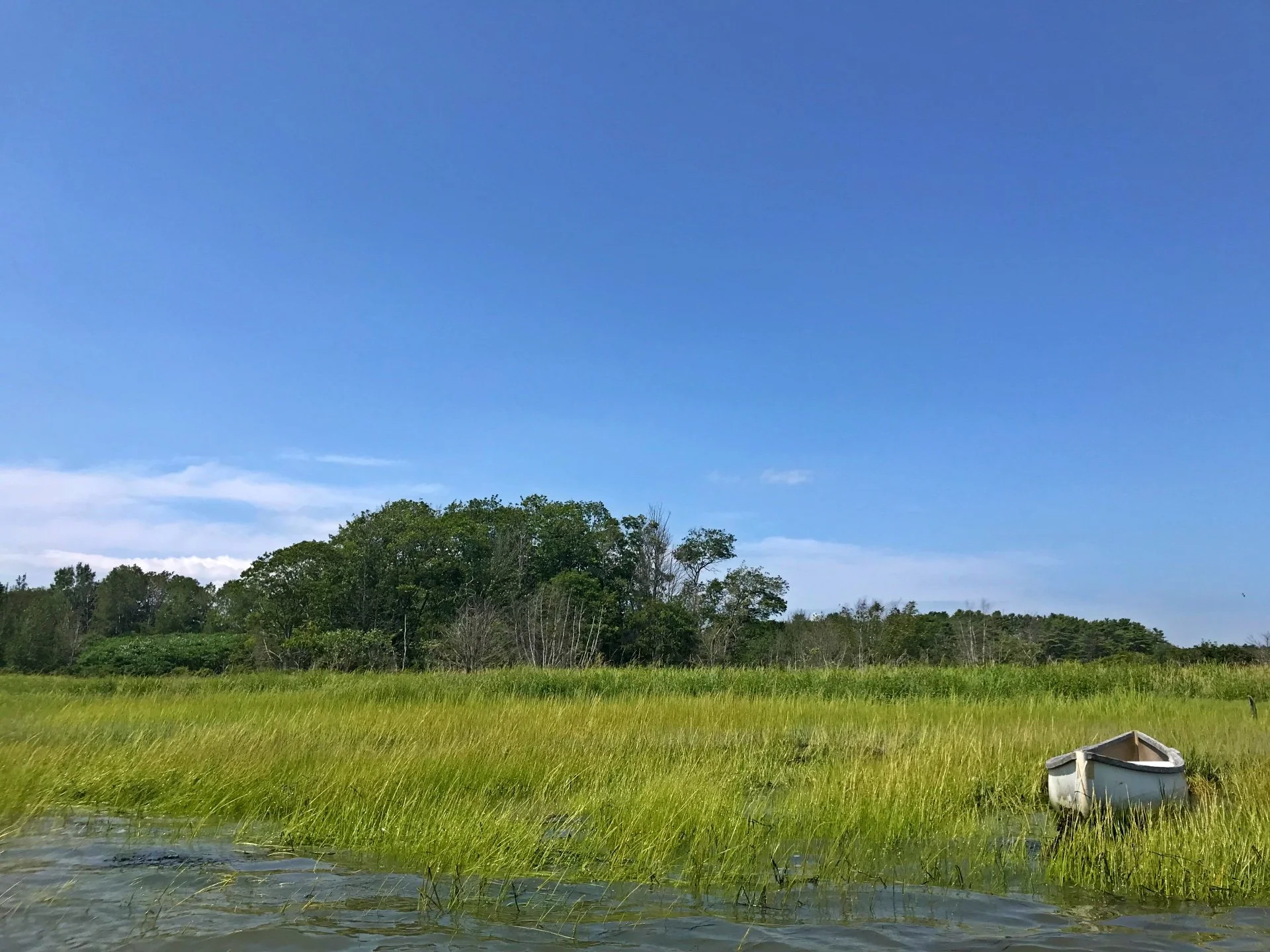 A small white boat resting on grass near water, with trees and a blue sky in the background.