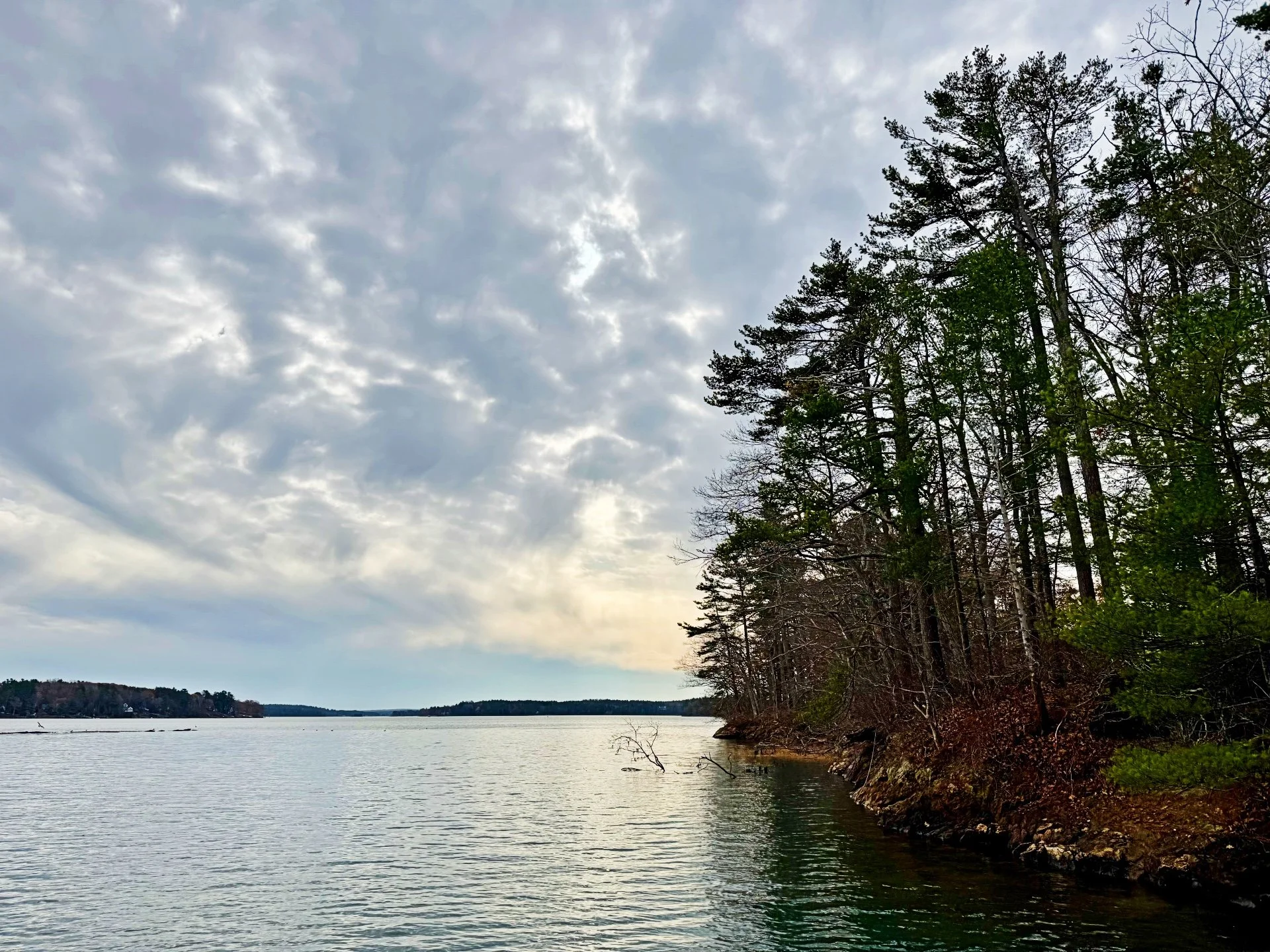 View of a lake with a rocky shoreline and tall trees on the right, under a cloudy sky.