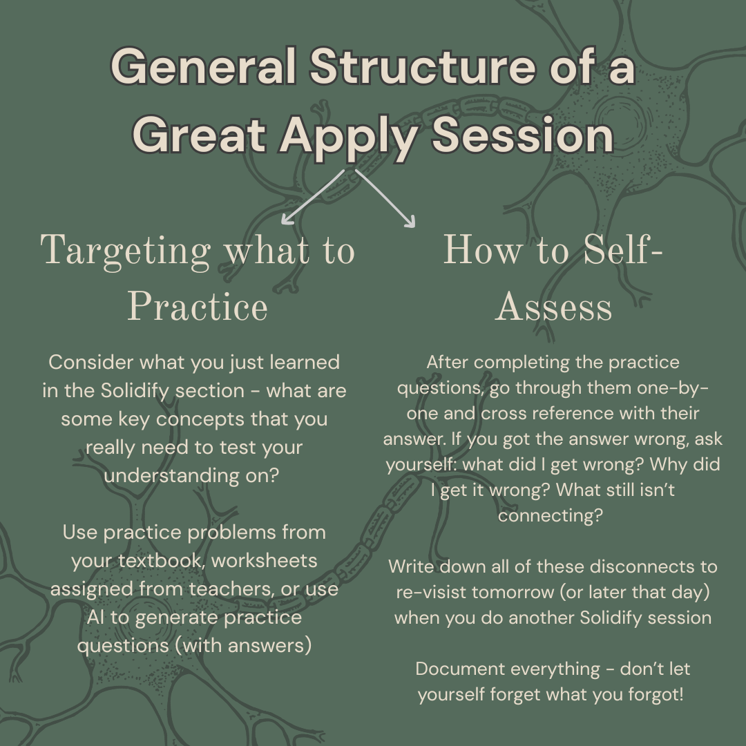 This image describes what a great apply session looks like when you study. You want to target challenging topics and self-assess what you got wrong to improve