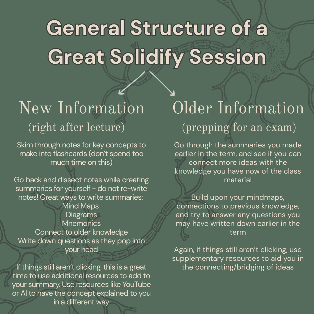 This image describes what a great solidify session looks like, being broken into the consolidation of new information (like after a lecture) and older information (when you're studying for an exam).
