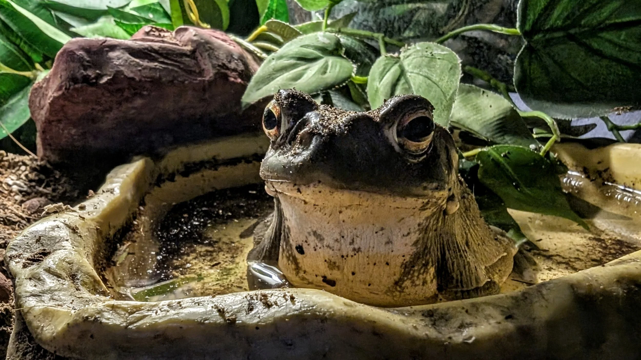 Earth Day -Scout Reservation