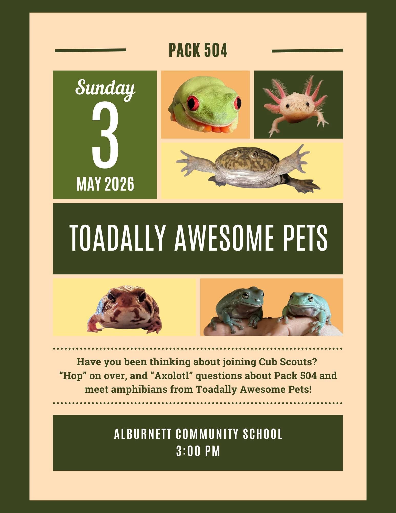 Toadally Awesome Pets at Pack 504