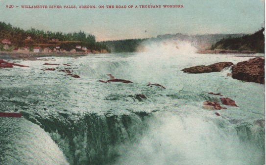 PC 100  920-Willamette River Falls, Oregon, on the Road of a Thousand Wonders  Edward H. Mitchell, Publisher, San Francisco
