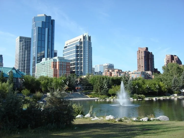 City skyline with tall modern buildings, a park with green trees and bushes, a pond with a water fountain, under a clear blue sky.
