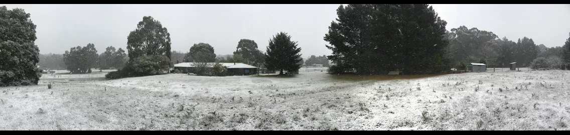 A snowy landscape with a field, trees, and barn structures in the background.