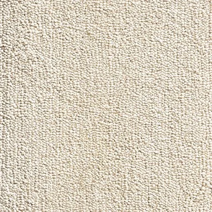 Close-up of a textured, beige carpet.