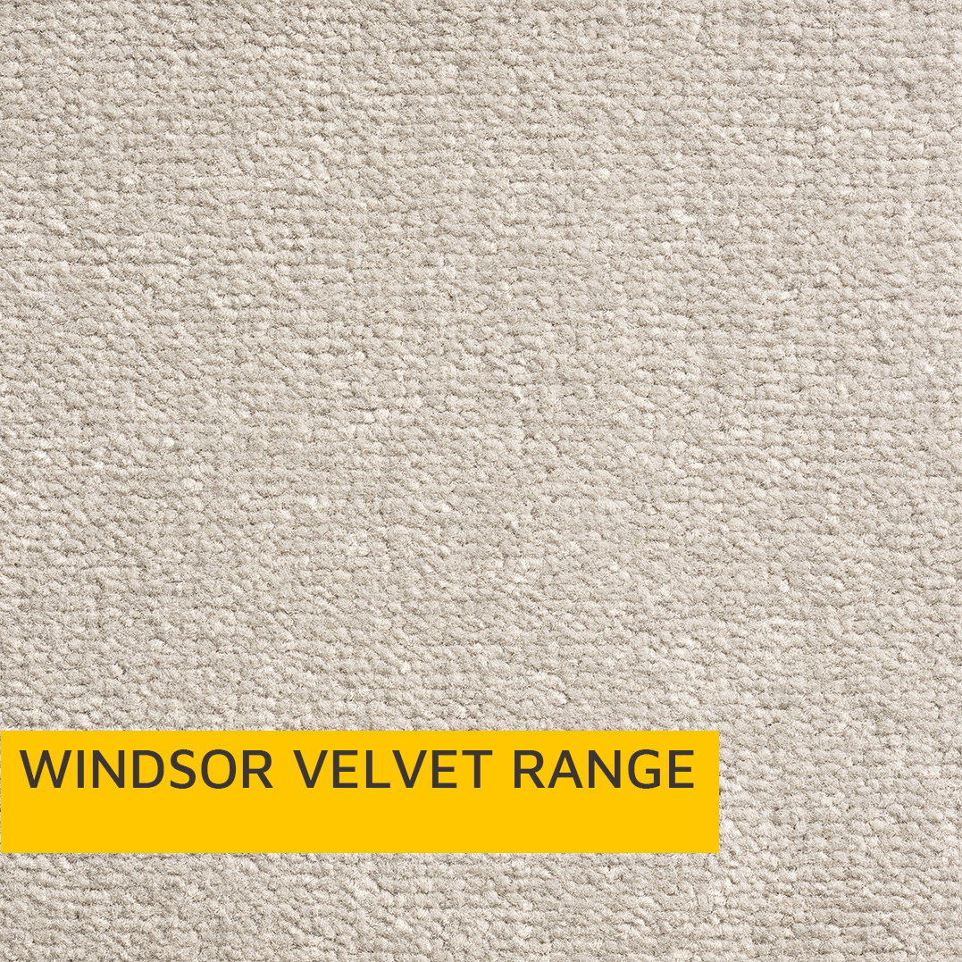 Windsor Velvet Carpet Range