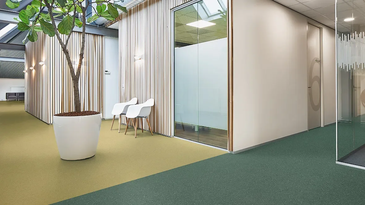 Modern office interior with large potted plant, white chairs, and glass walls.