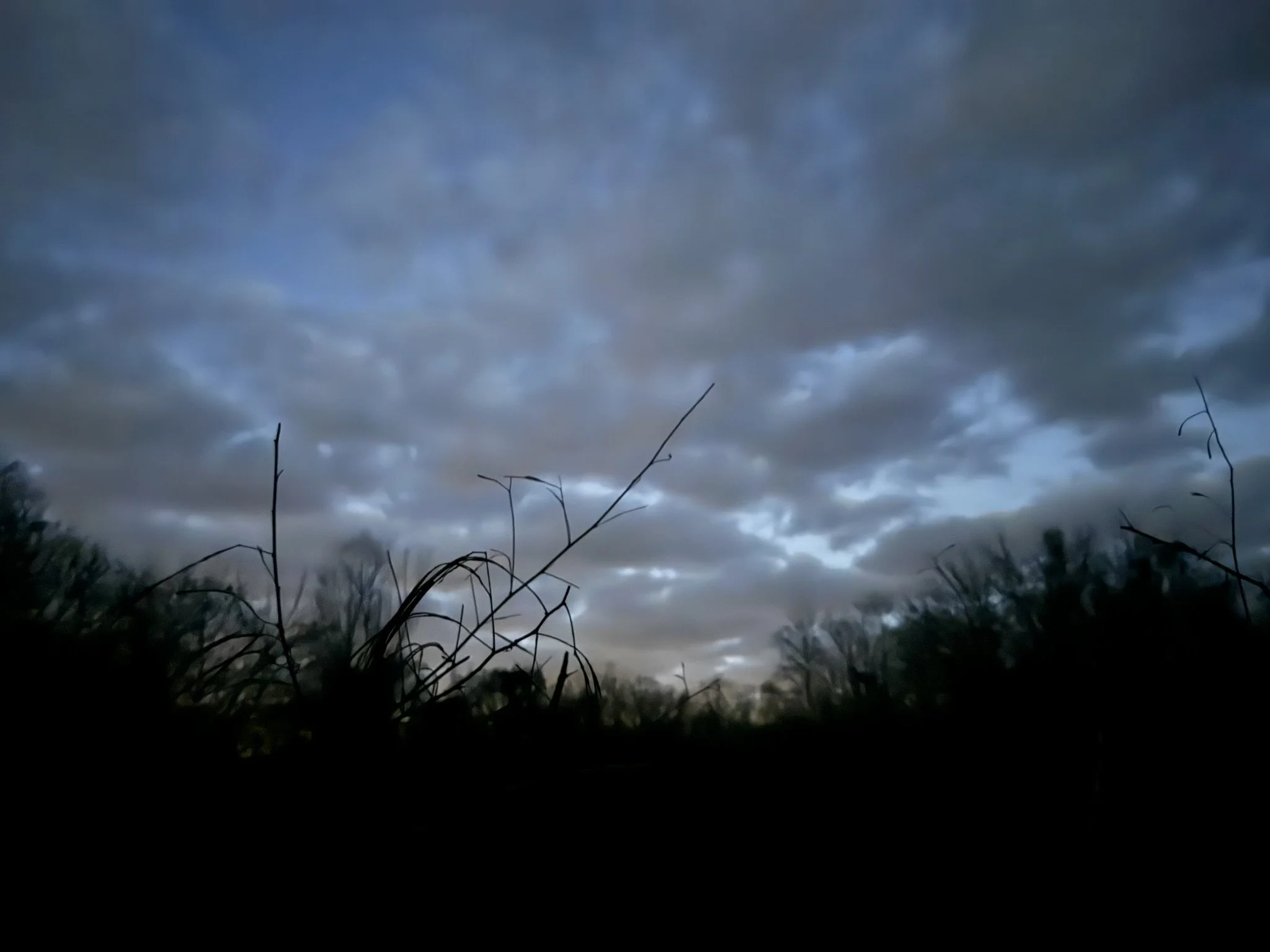 dawn-silhouette.jpg