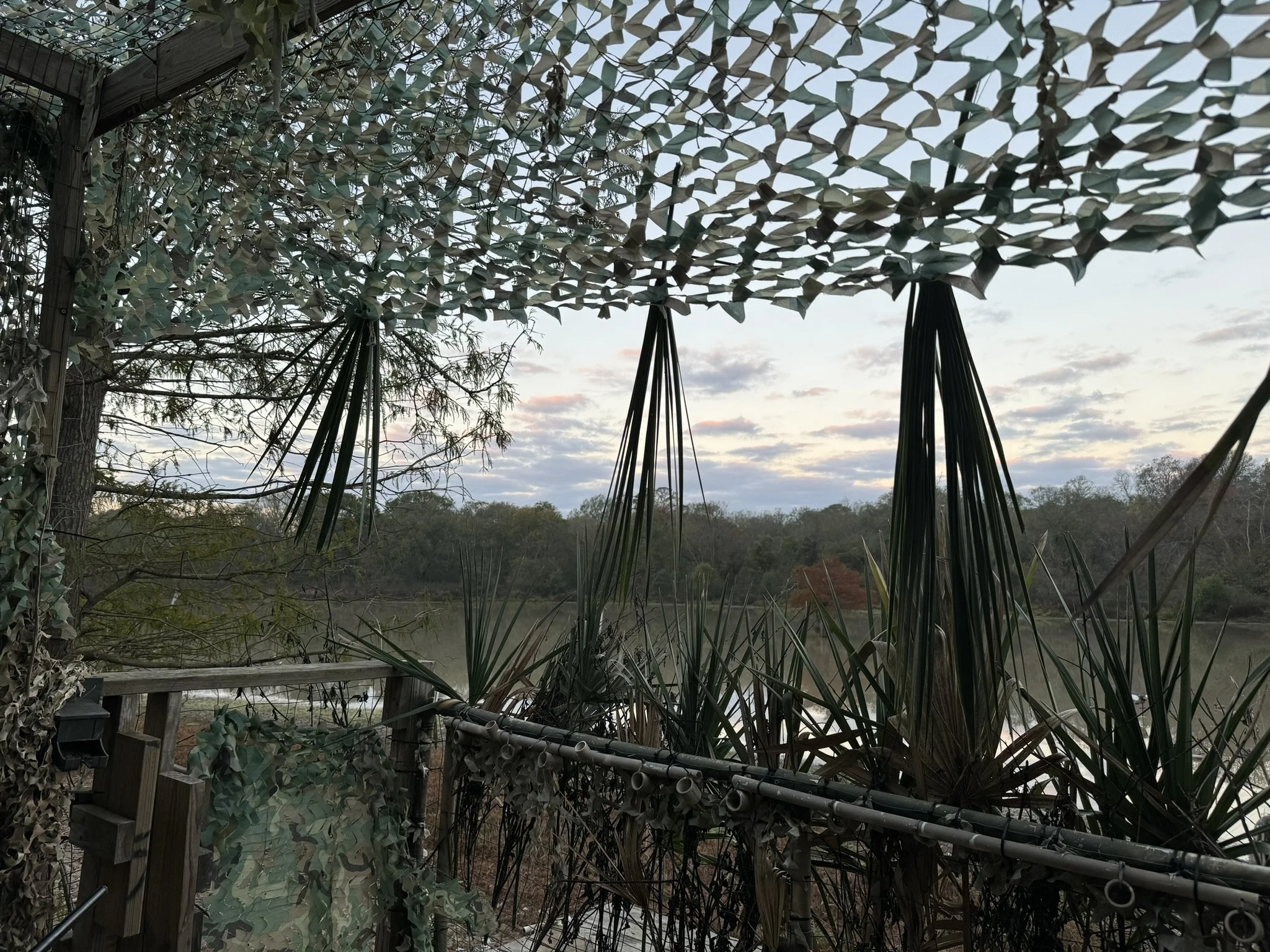 duck-blind-sunset.jpg