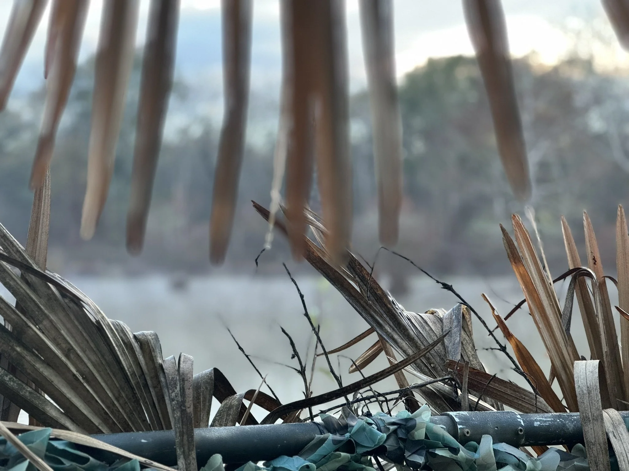 misty-marsh.jpg