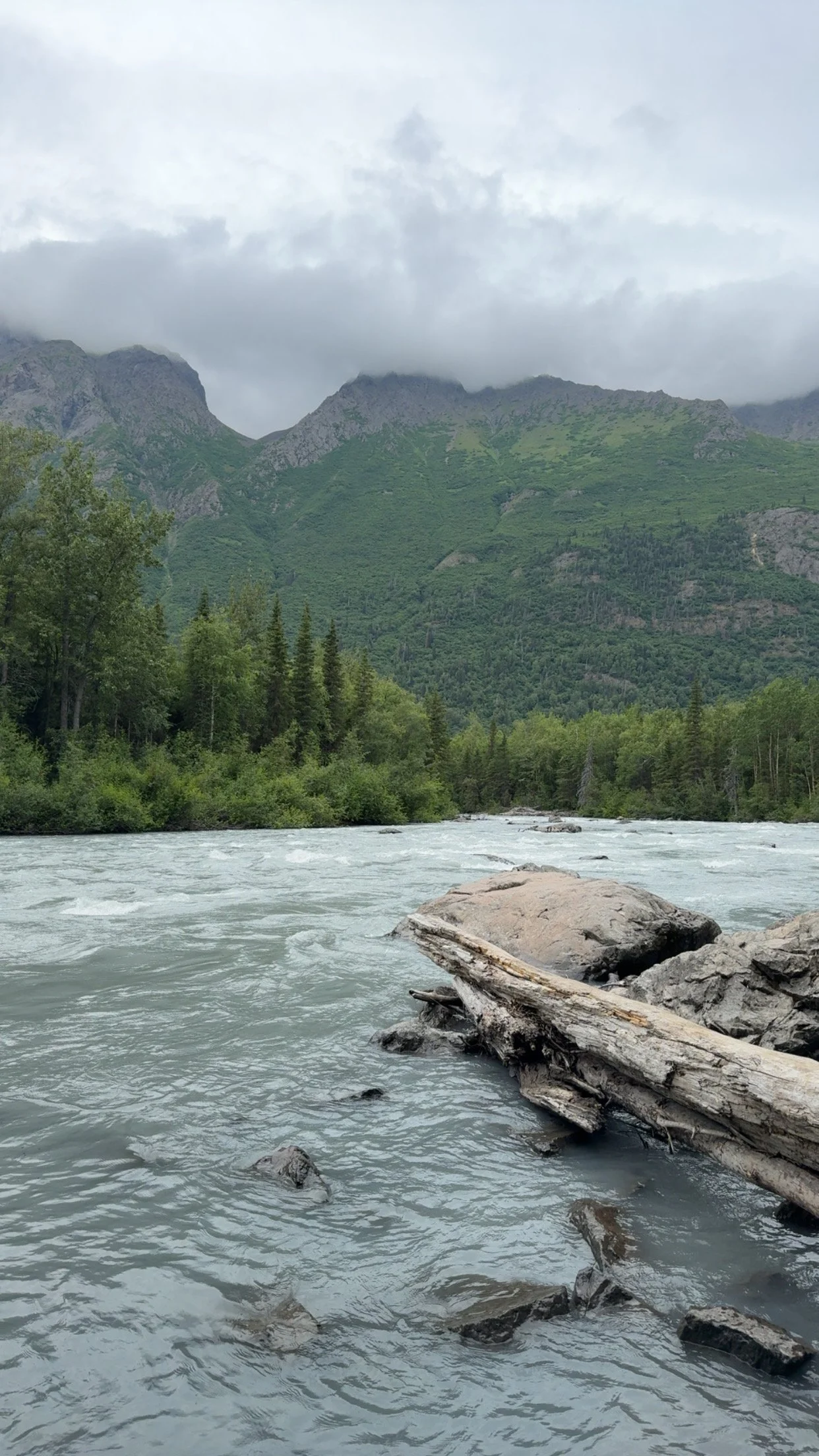 River flowing through a lush green forest with mountains in the background and cloudy sky overhead.