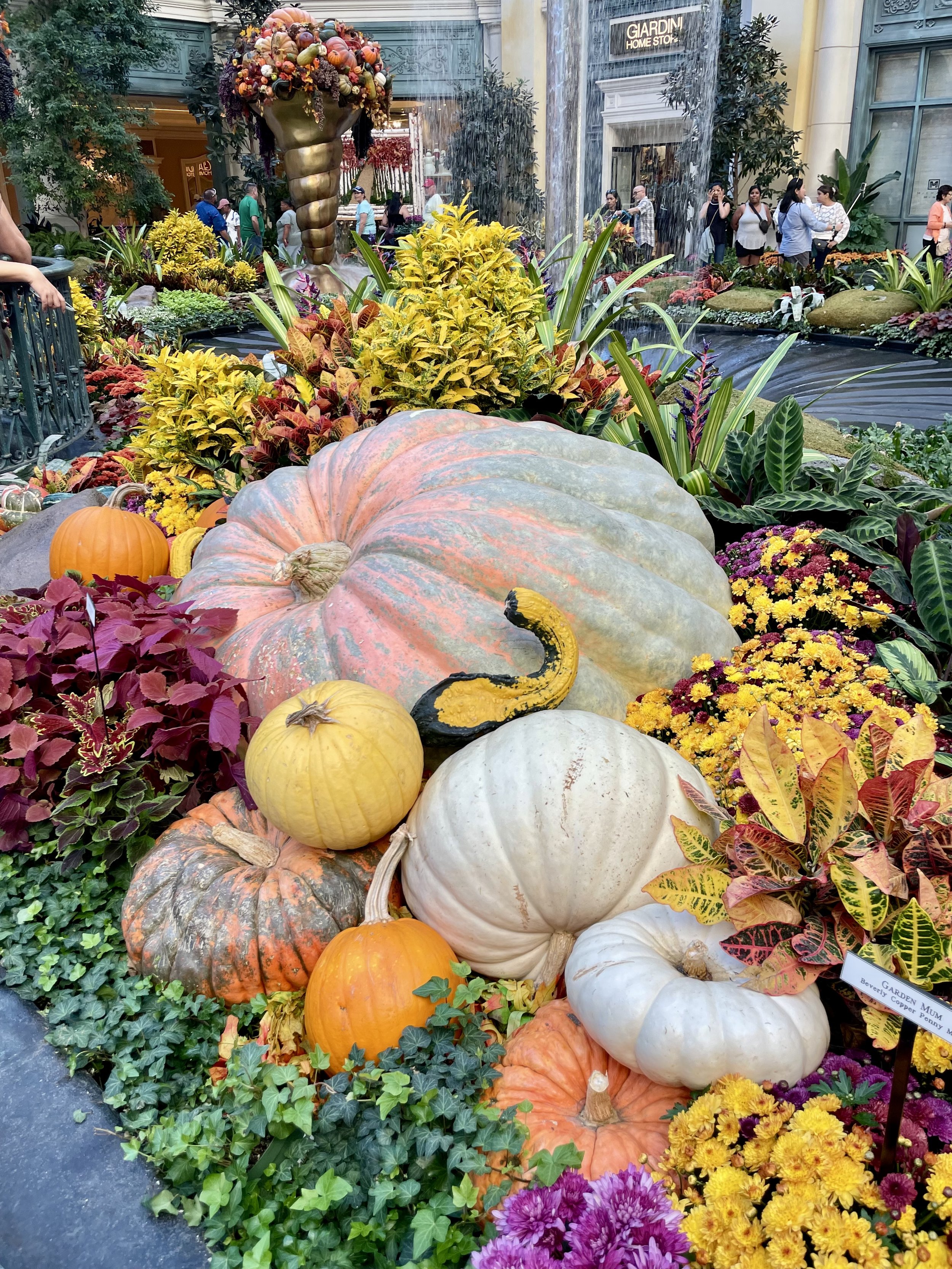 Fall-themed display of various pumpkins, gourds, and colorful flowers in an indoor garden setting.