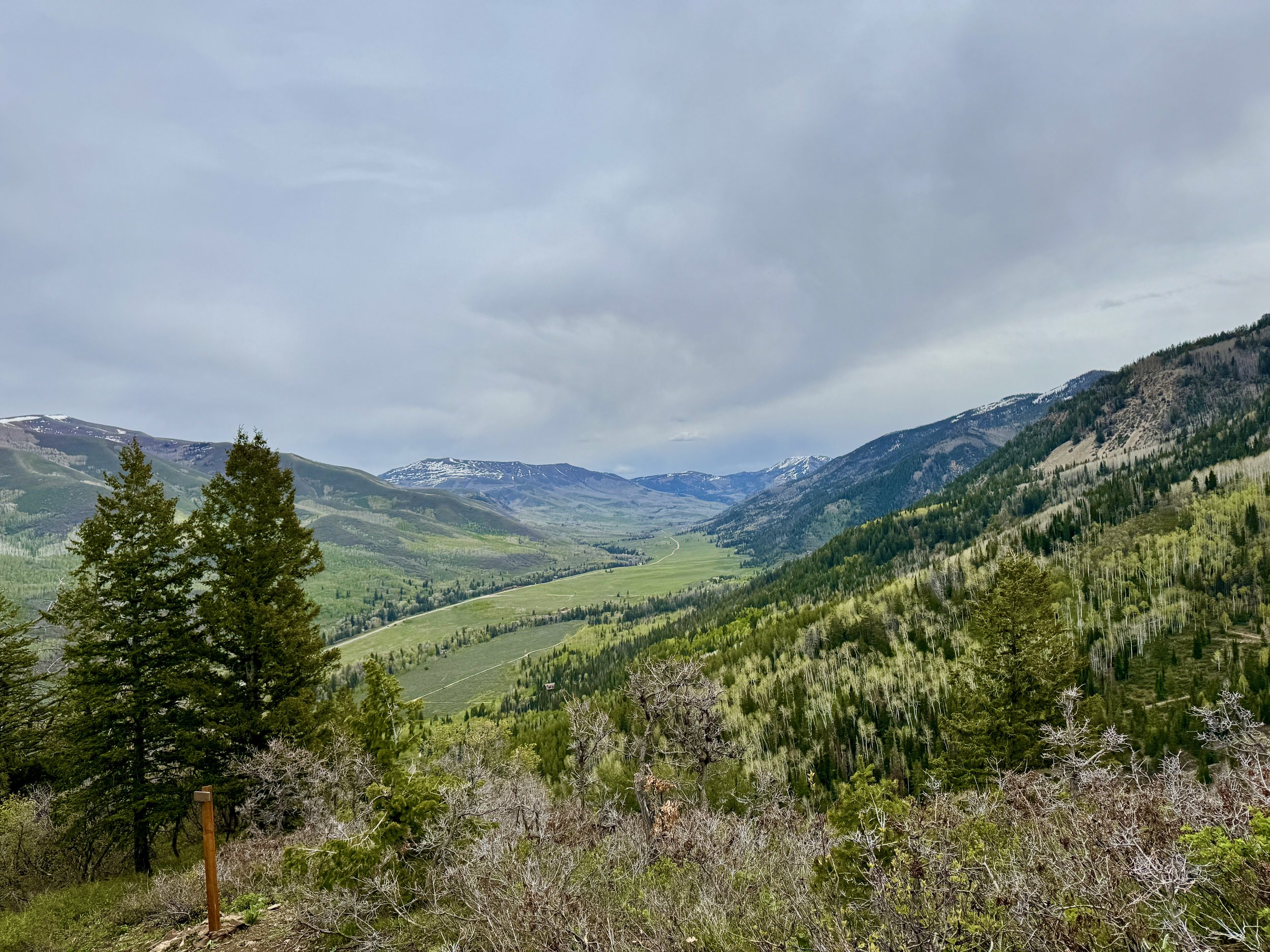 Scenic view of a mountain valley with lush green trees and snow-capped peaks under a cloudy sky.