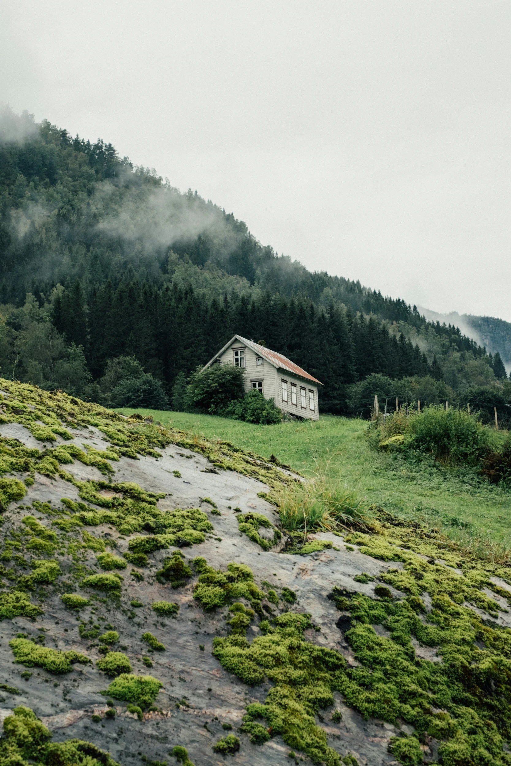 Une maison en bois située dans une vallée verdoyante avec une forêt dense en arrière-plan, sous un ciel grisâtre et brumeux.