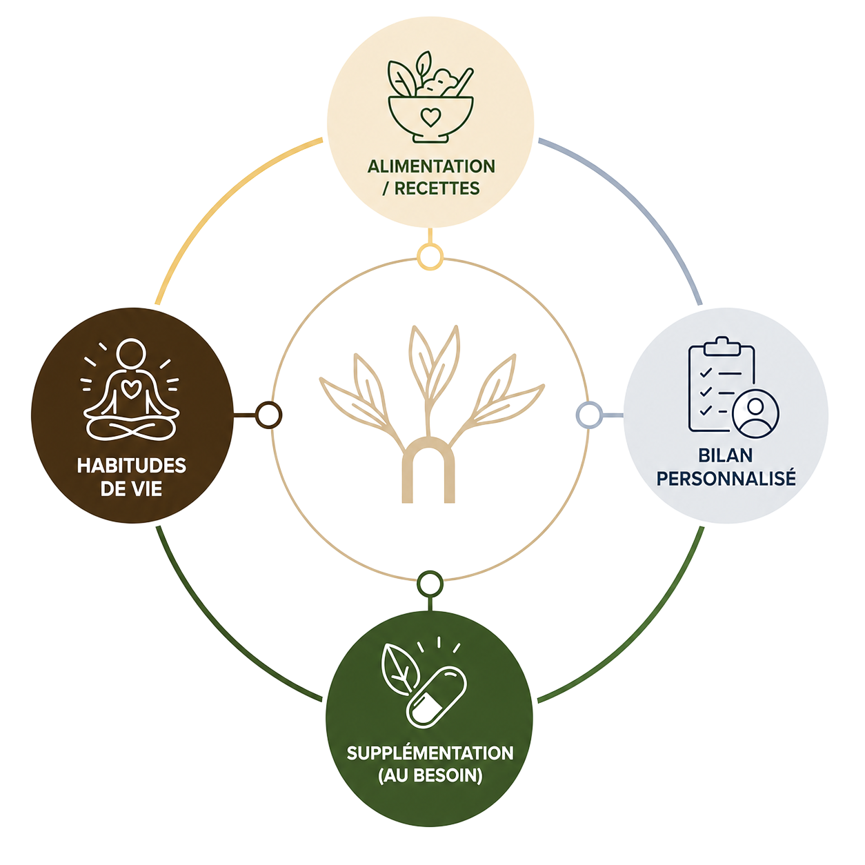 Diagramme circulaire illustrant un arbre avec différentes sections : habitudes de vie, alimentation/recettes, bilan personnalisé, supplémentation, mettant en avant un mode de vie équilibré et personnalisé.
