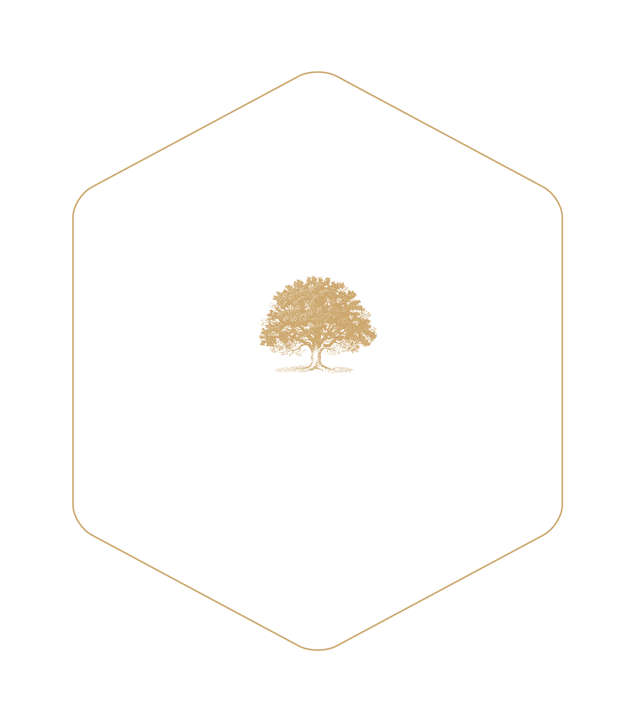 Southern Spear Properties | Transform Your Space Today