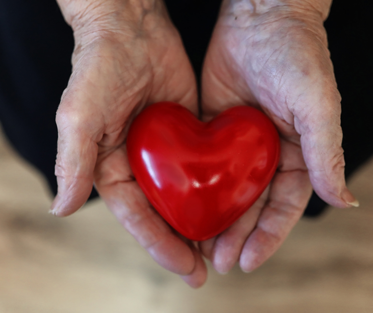 Elder Care Mediation