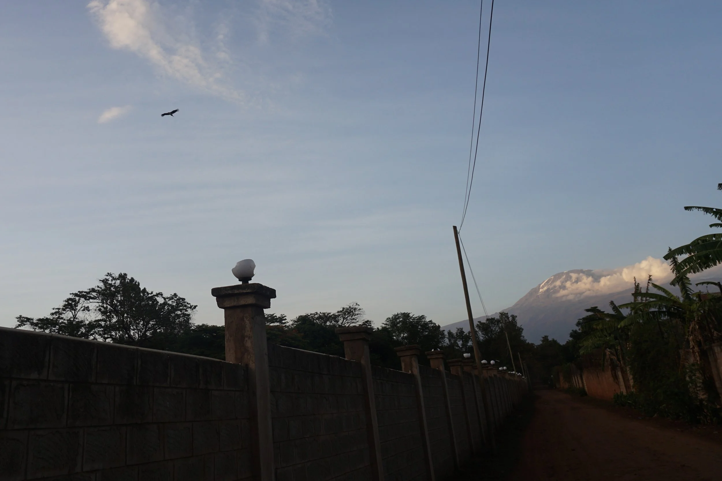 A dirt road next to a concrete fence with decorative top posts, some plants and trees on the side, a mountain with snow on top in the background, and a bird flying in the sky.
