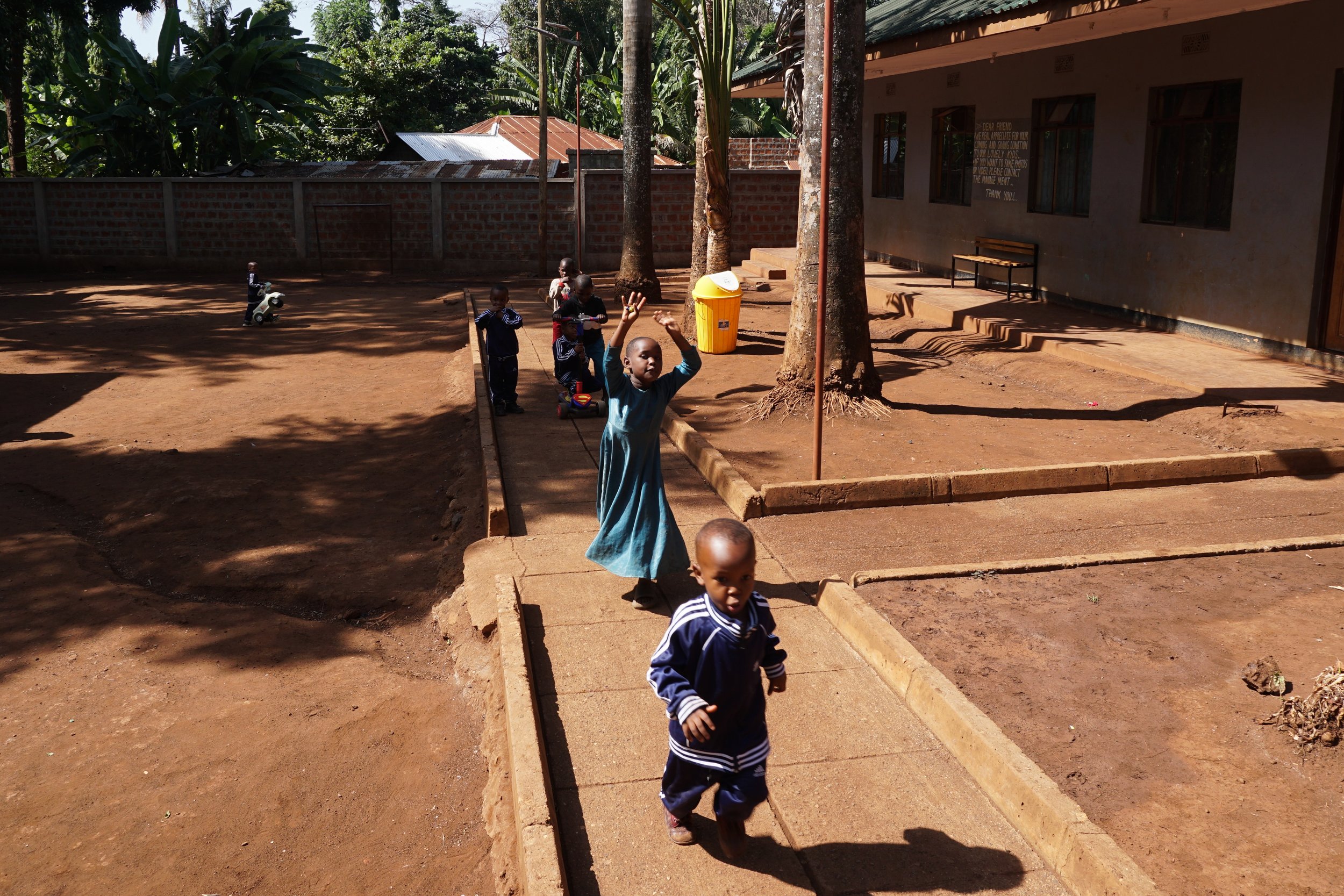 Children playing and walking on a pathway outside a school in a sunny area with trees and a brick wall.