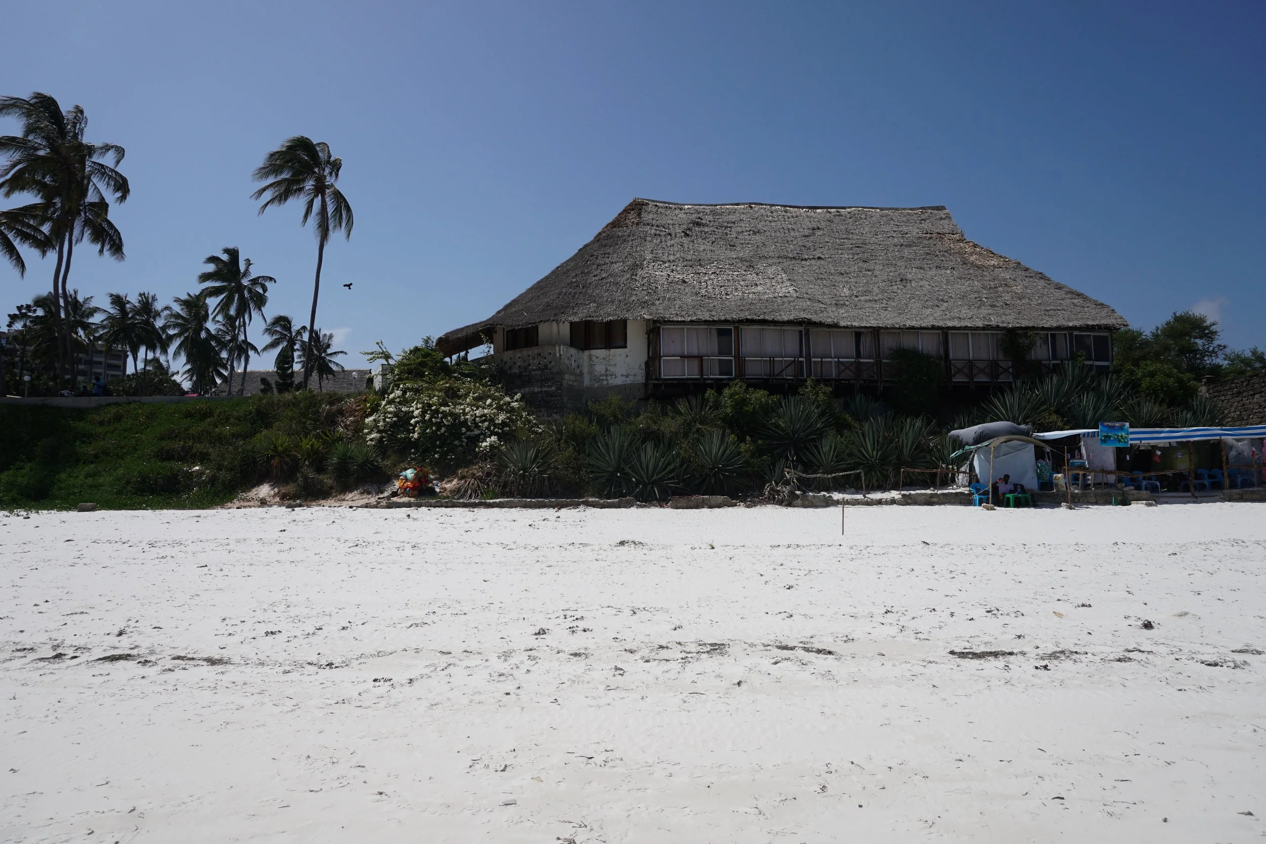 Beach with white sand in front of a thatched-roof building surrounded by tropical vegetation and palm trees, with a clear blue sky.
