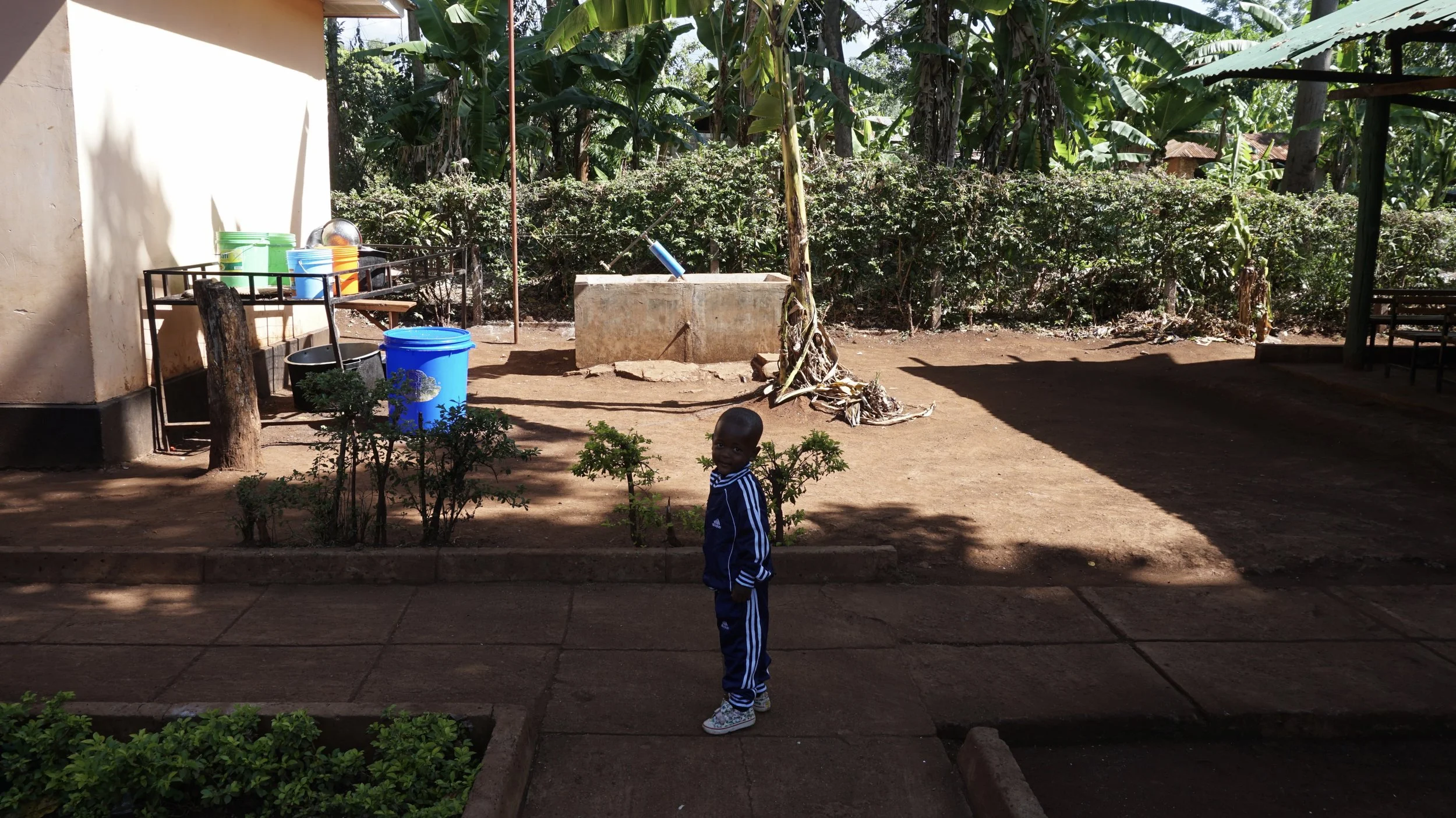 A young boy wearing a blue tracksuit stands on a paved path in a sunny outdoor area. Behind him is a rustic garden with small bushes, a well, and various buckets and containers near a wall. In the background, there are banana trees and other lush greenery.