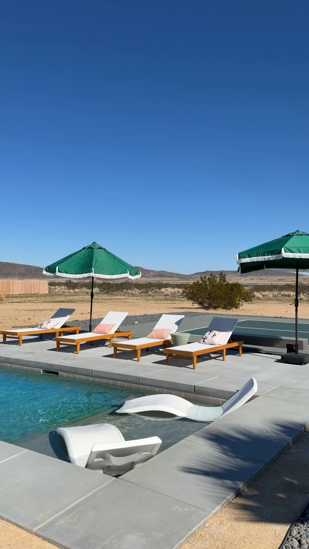 Still 2026-02-12 124558_1.1.1.jpg