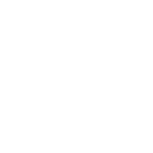 The Desert Willow Joshua Tree logo