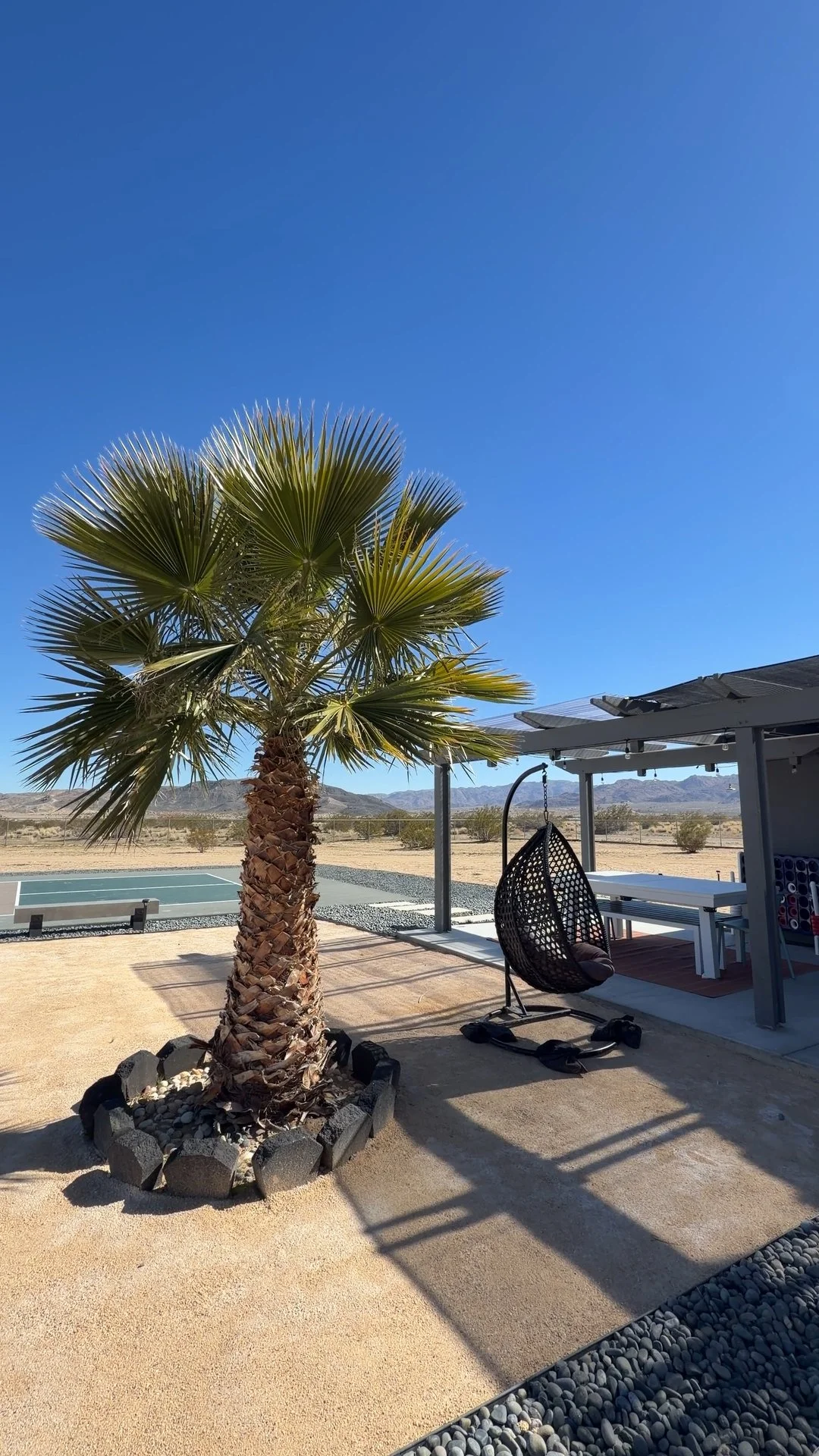 Still 2026-02-12 125001_1.6.1.jpg