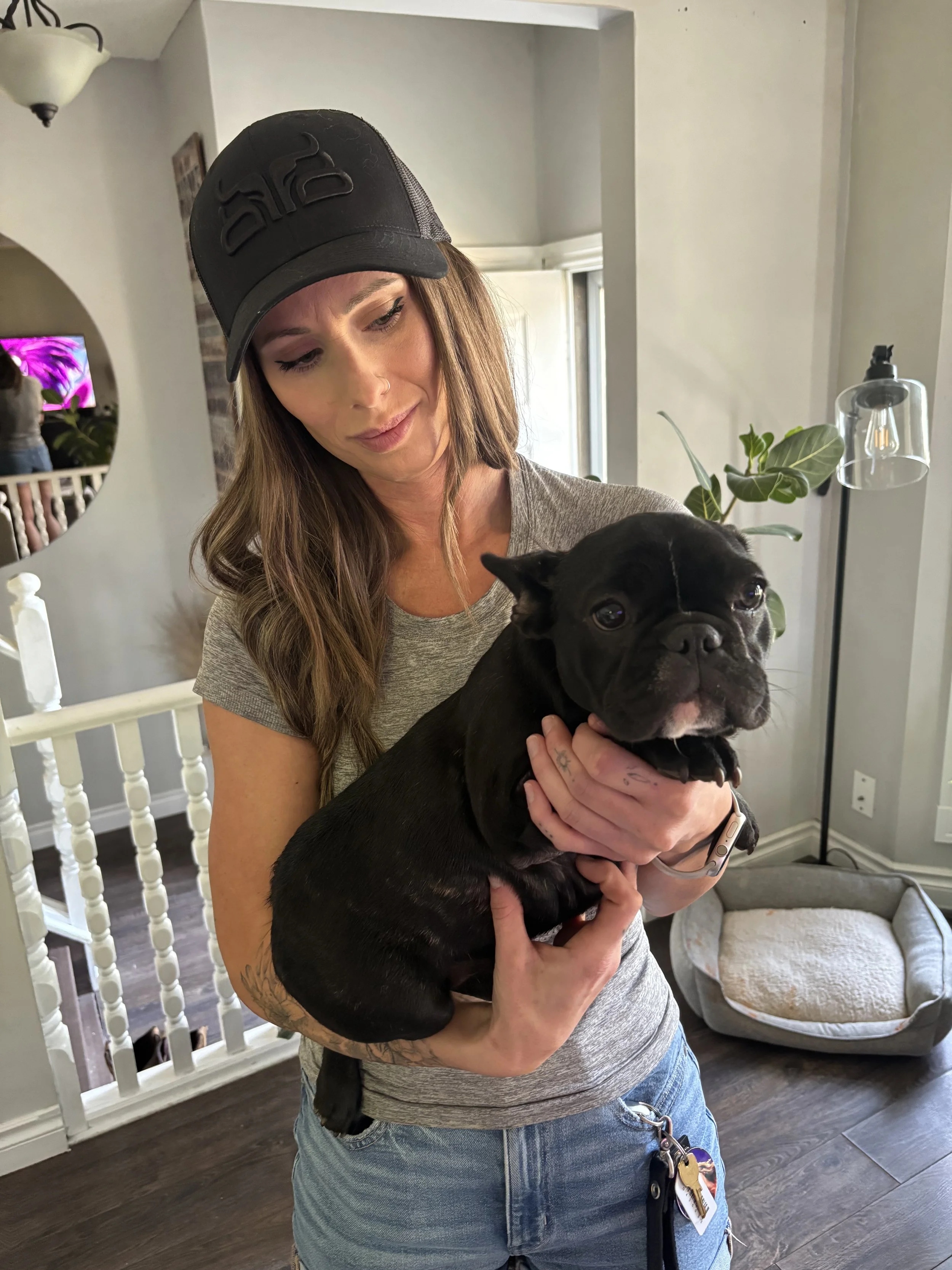 A woman holding a black French Bulldog puppy indoors, wearing a gray T-shirt and jeans, with a hat and wristwatch, in a home setting with plants, a mirror, and furniture.