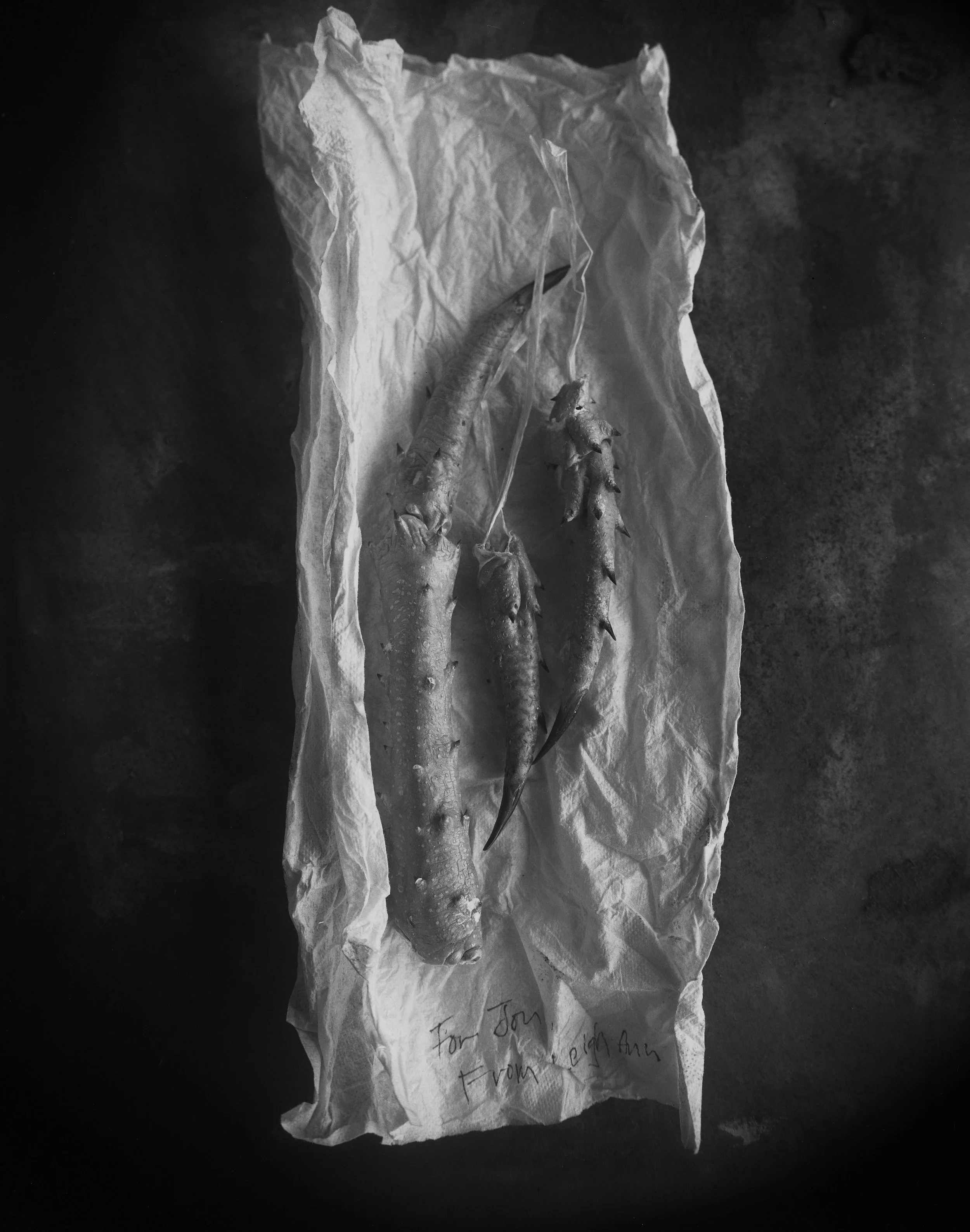 still life-crab legs2 035.jpeg