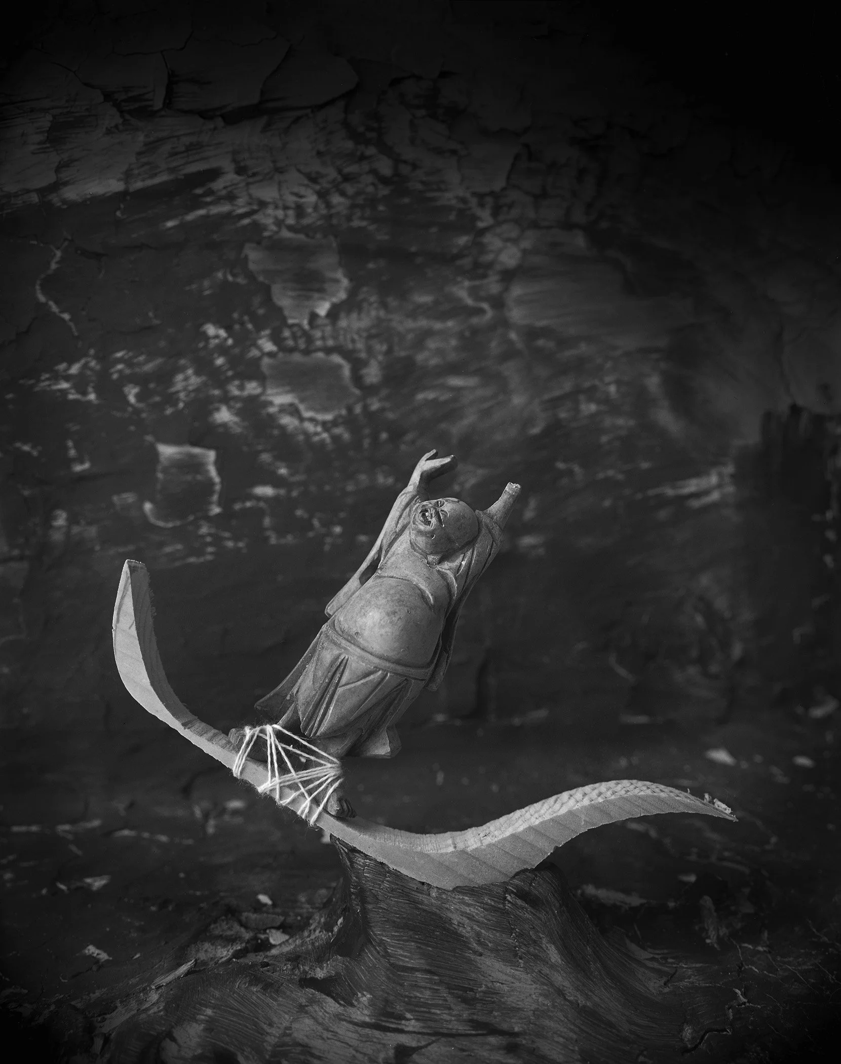 csl-Buddha surfing.jpg