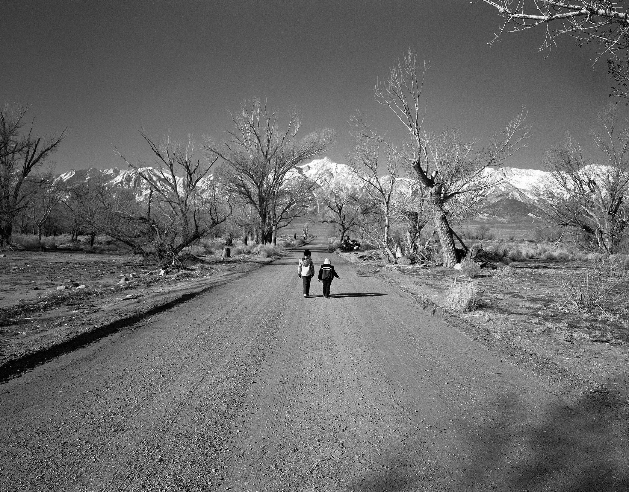 Manzanar L&L road.jpg