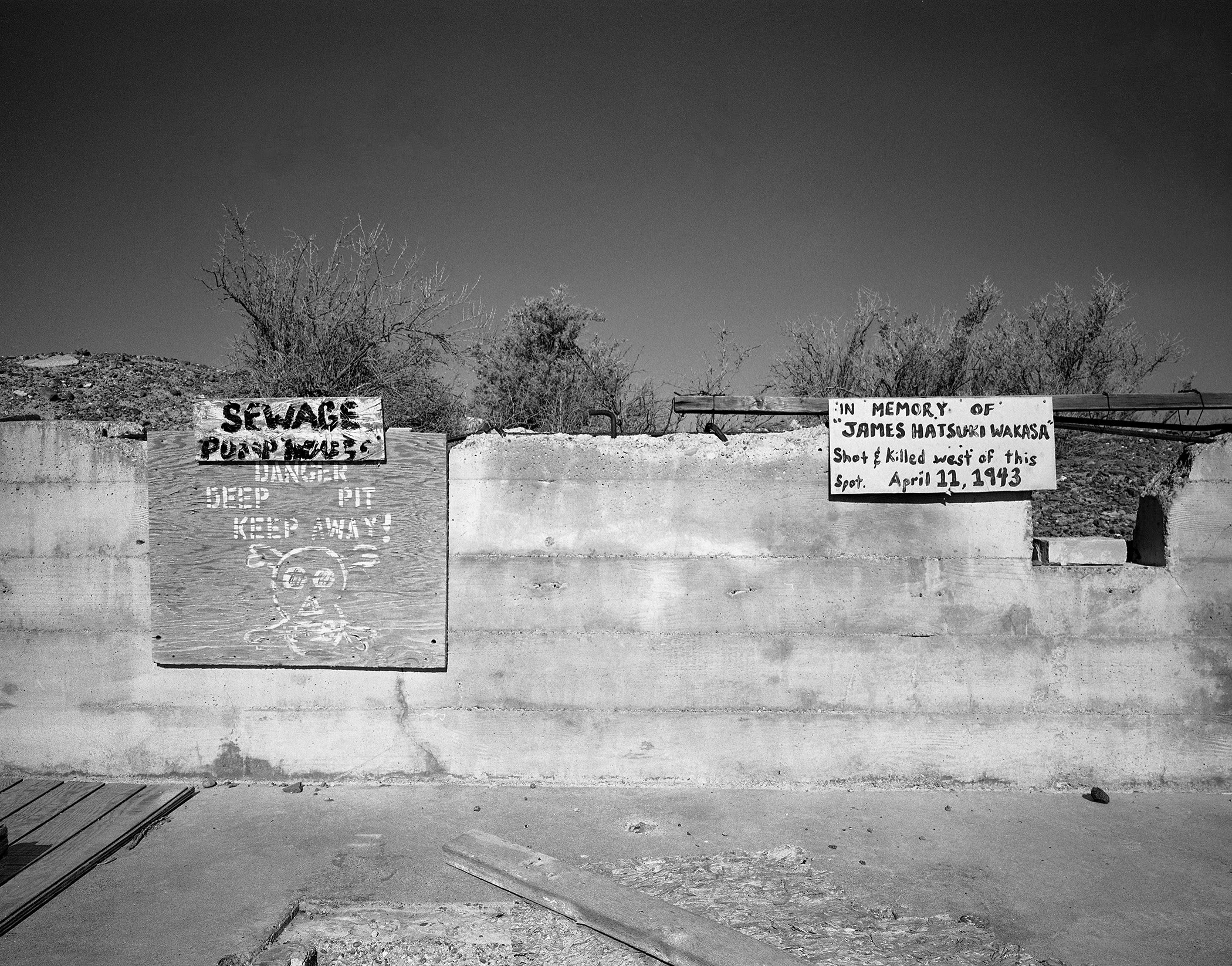 Copy of Topaz J Wakasa.jpg