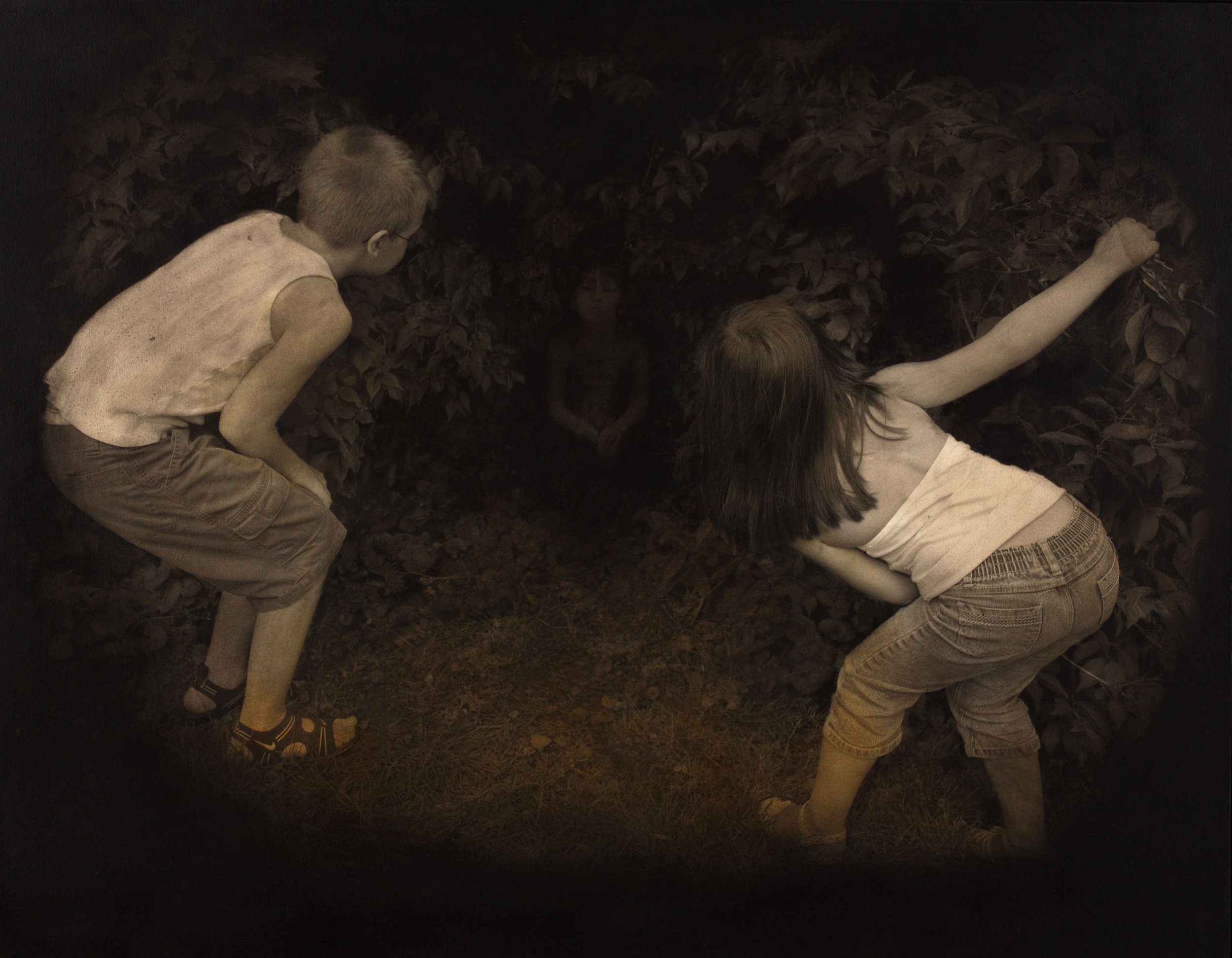 Bushes(Art of Photo).jpg