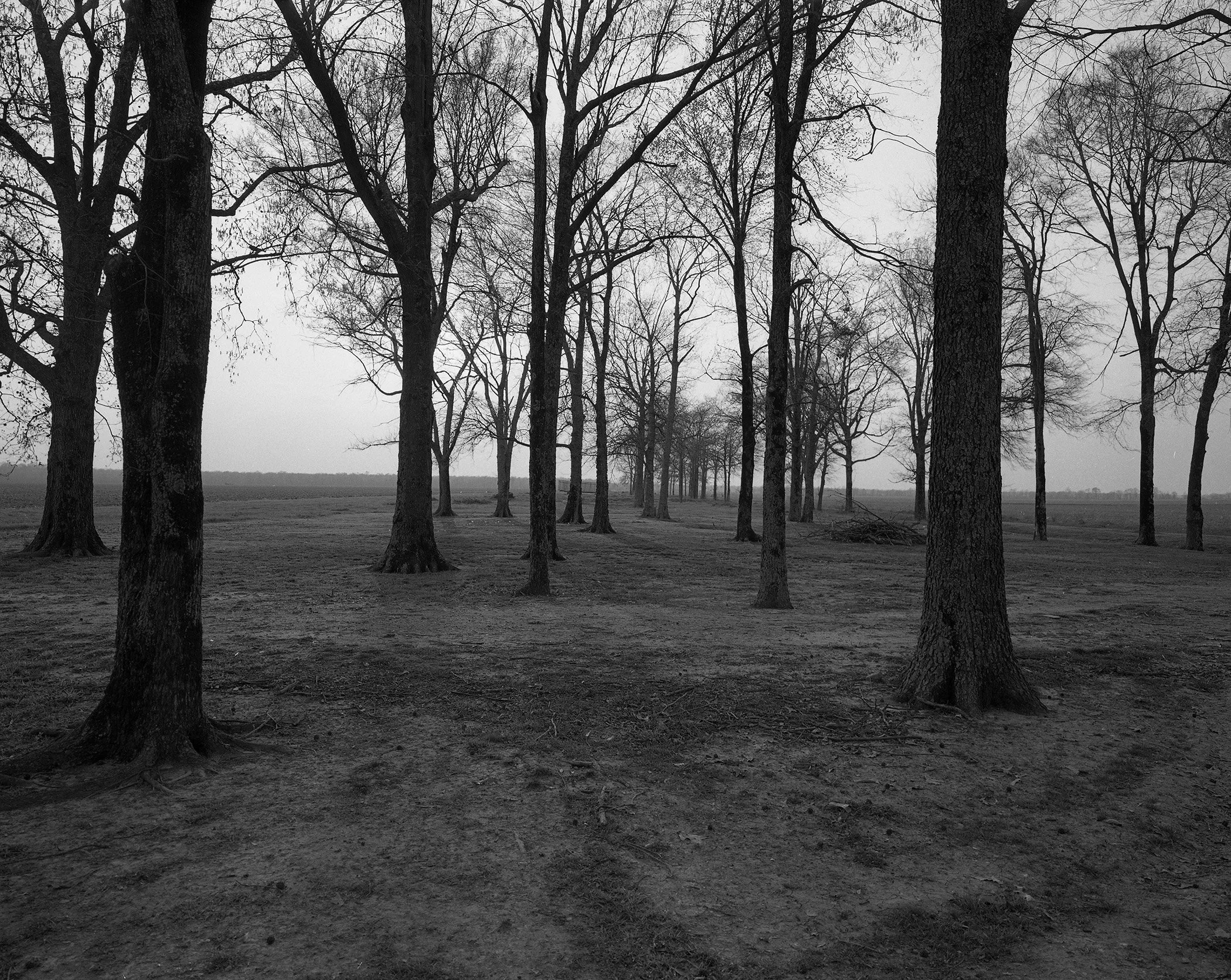 Rohwer looking west.jpg