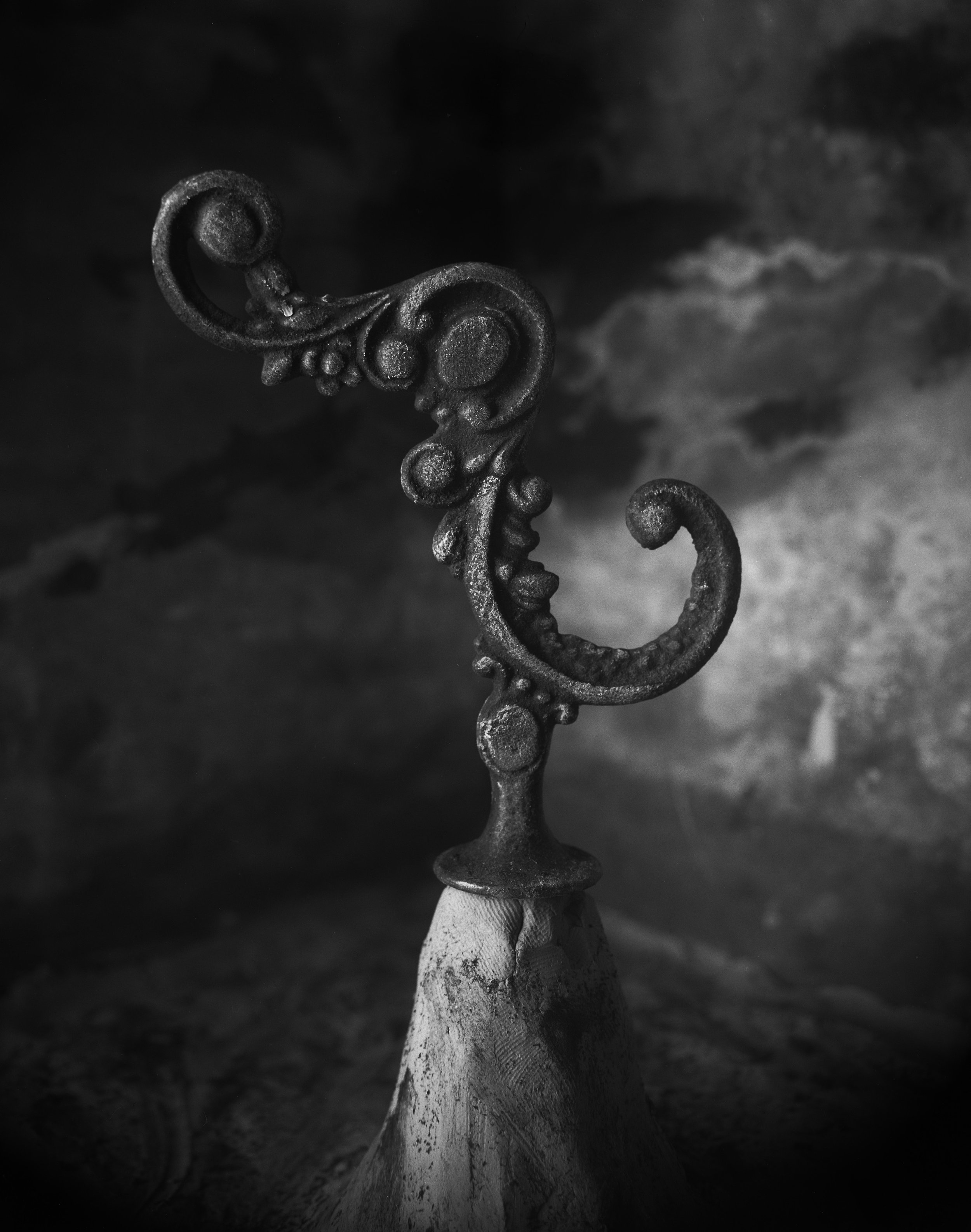 still life-bird031.jpeg