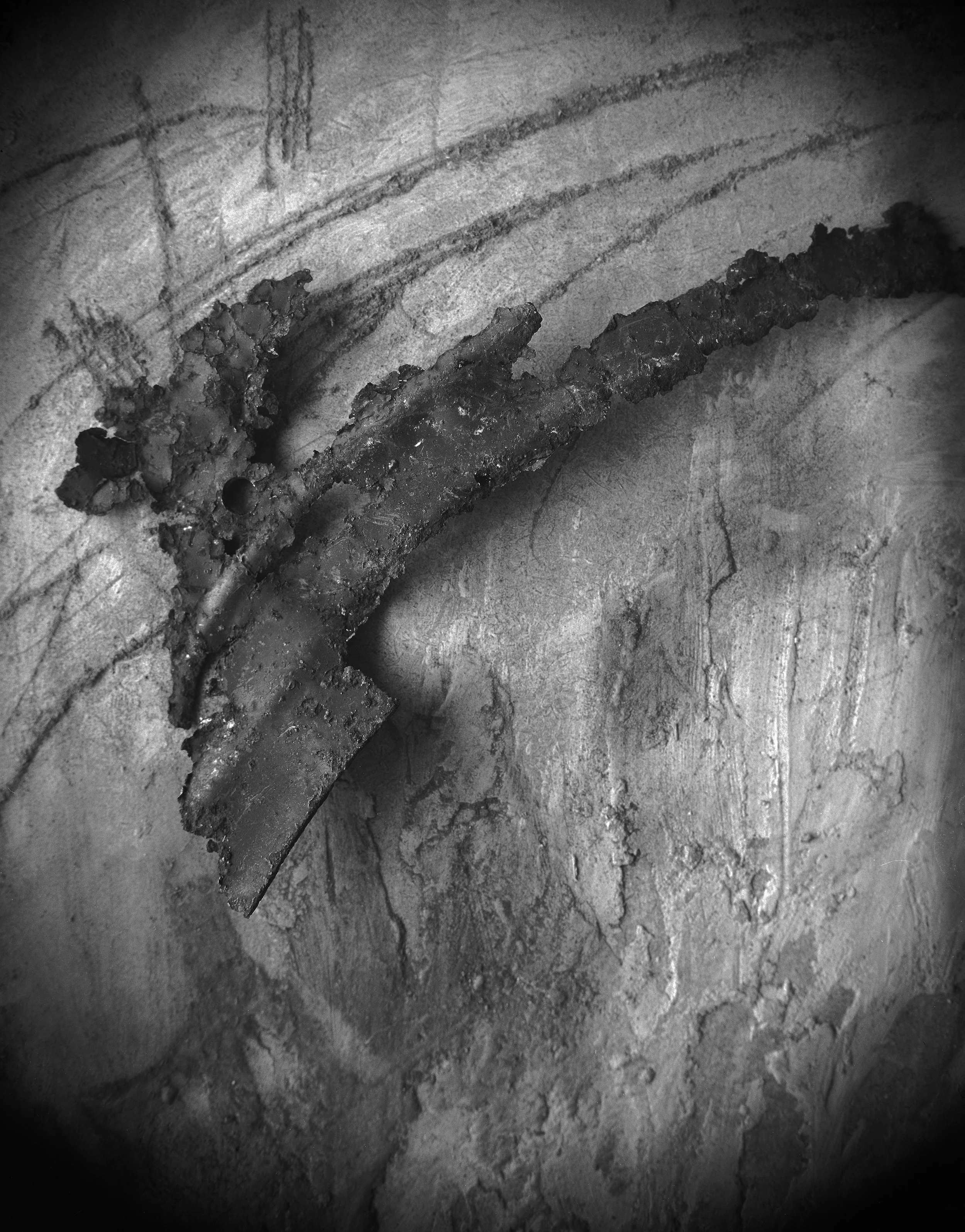 still life-dragon021.jpeg