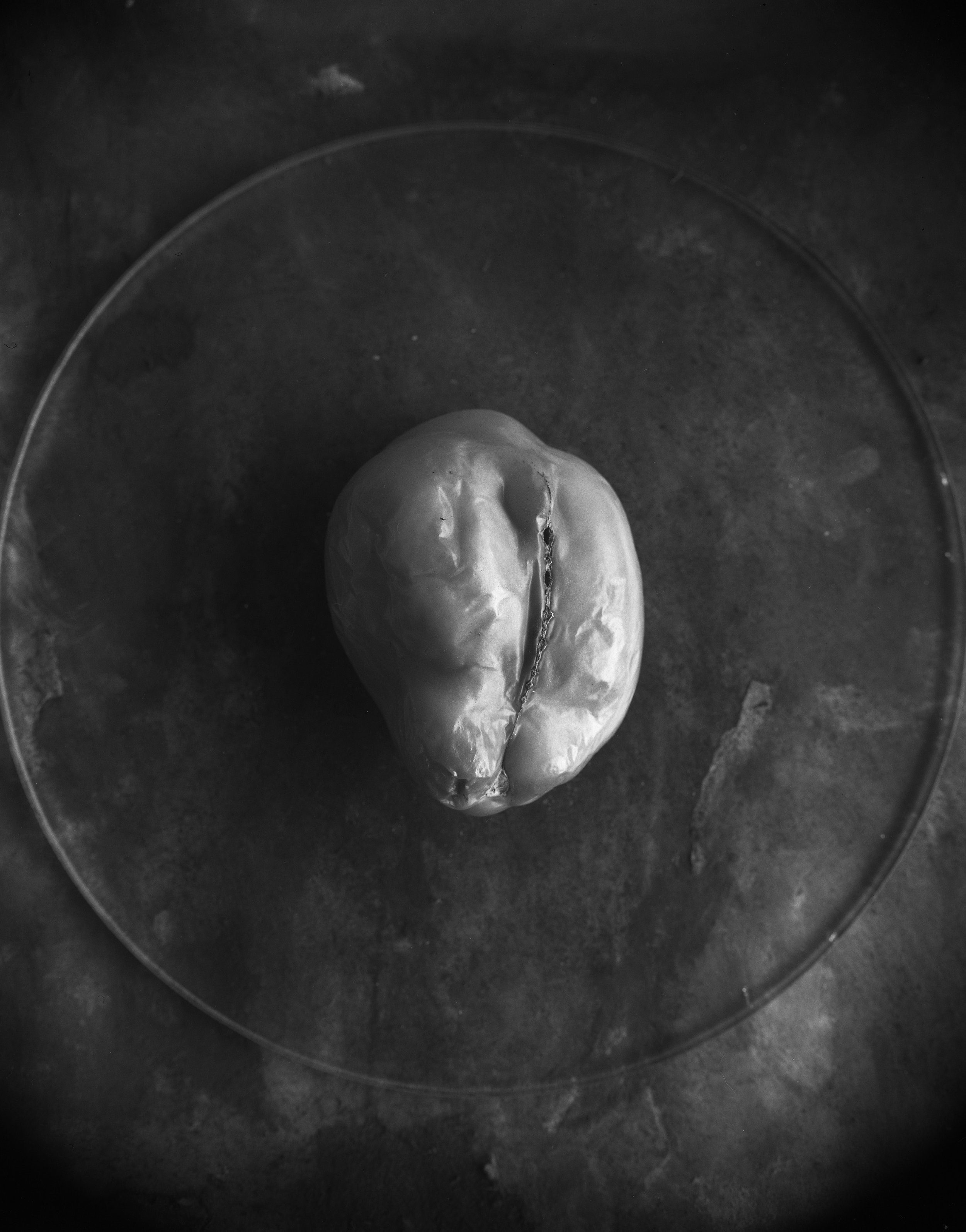 still life-tomatoe036.jpeg