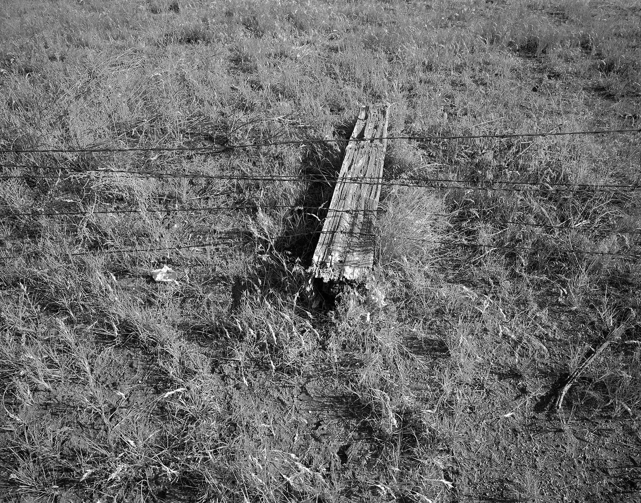 Copy of Tule Lake fallen fence.jpg