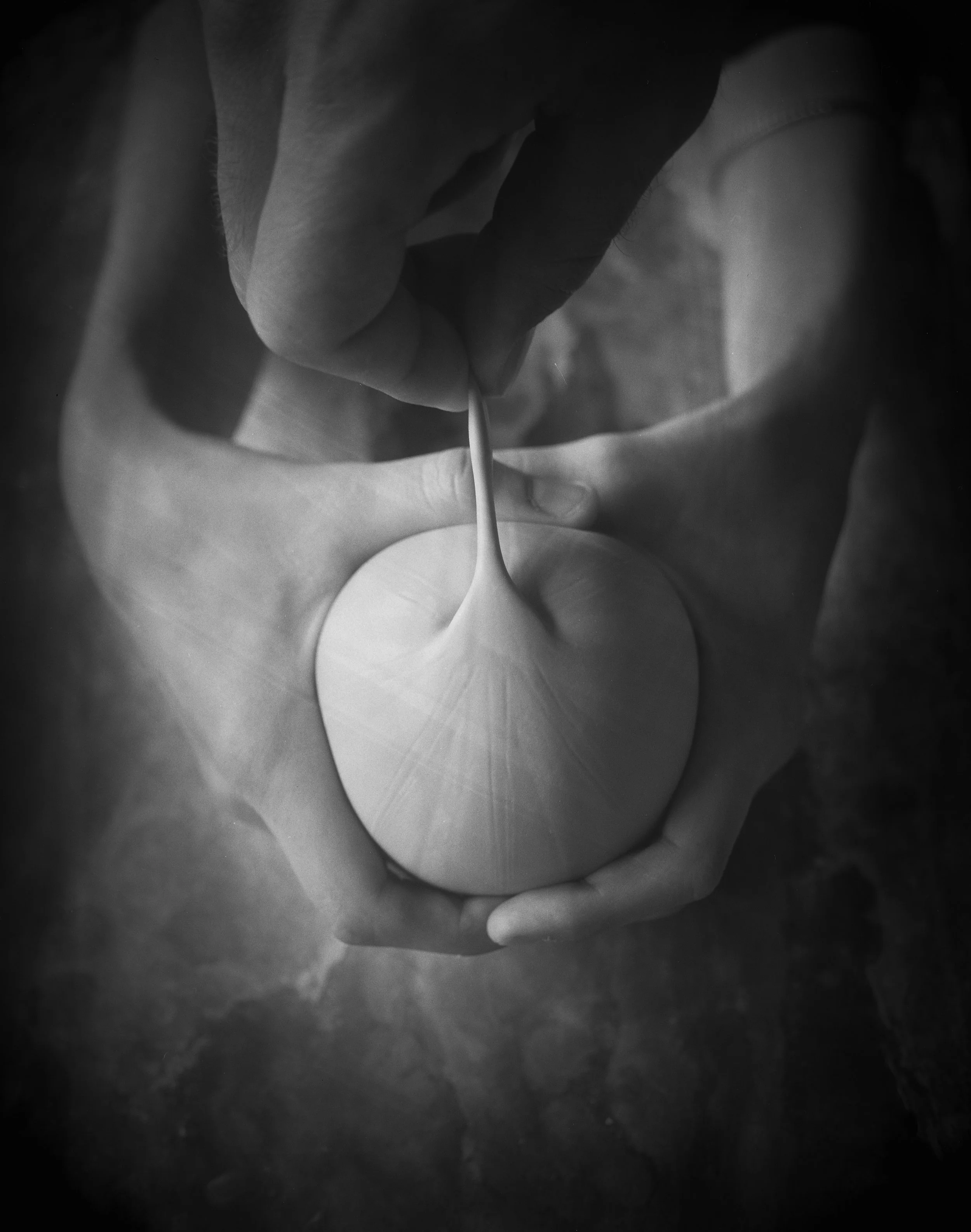 still life-stretch023.jpeg