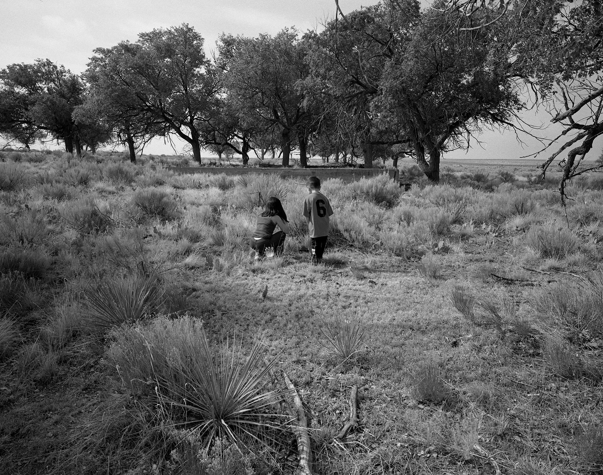 Copy of Amache L&L looking.jpg