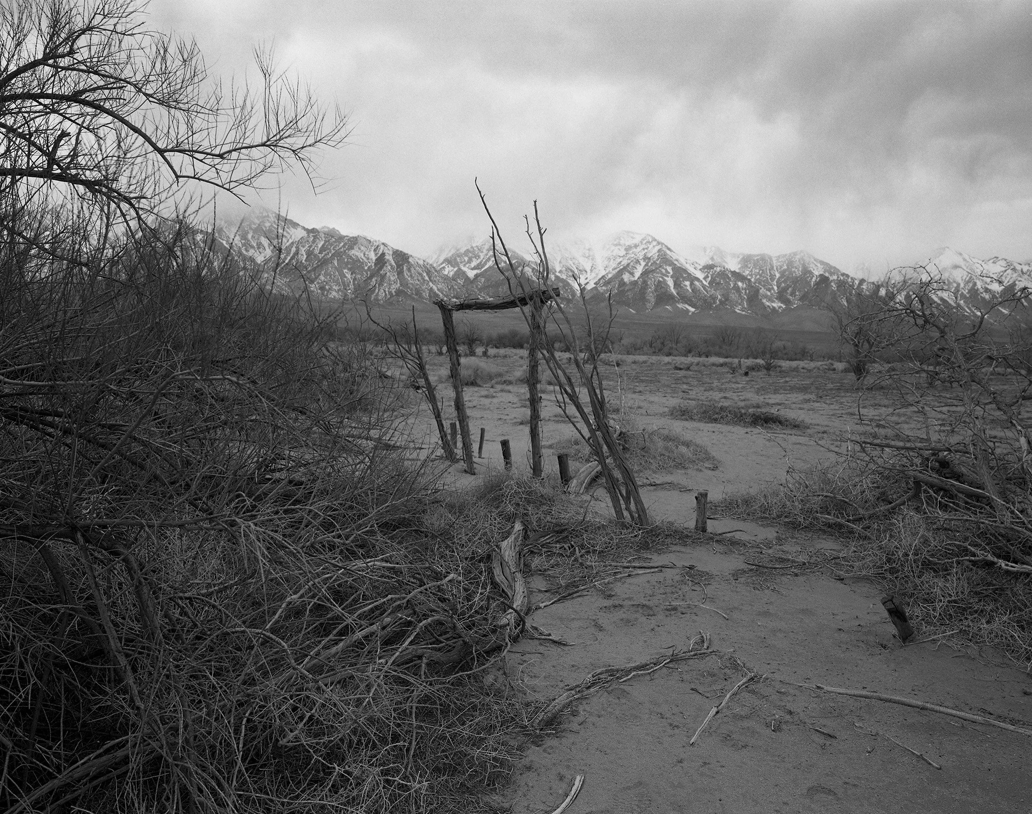 Manzanar arbor.jpg