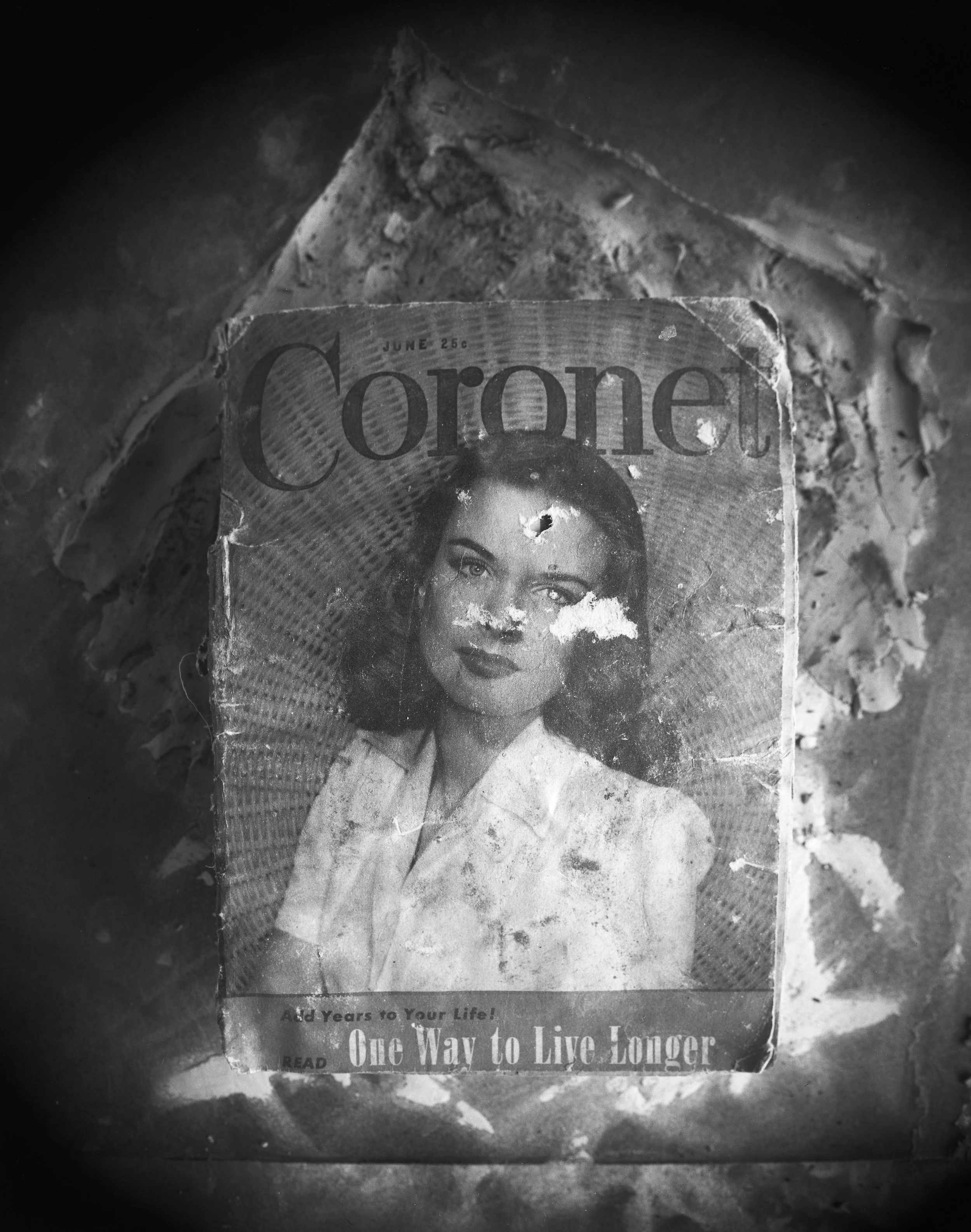 still life-live longer022.jpeg