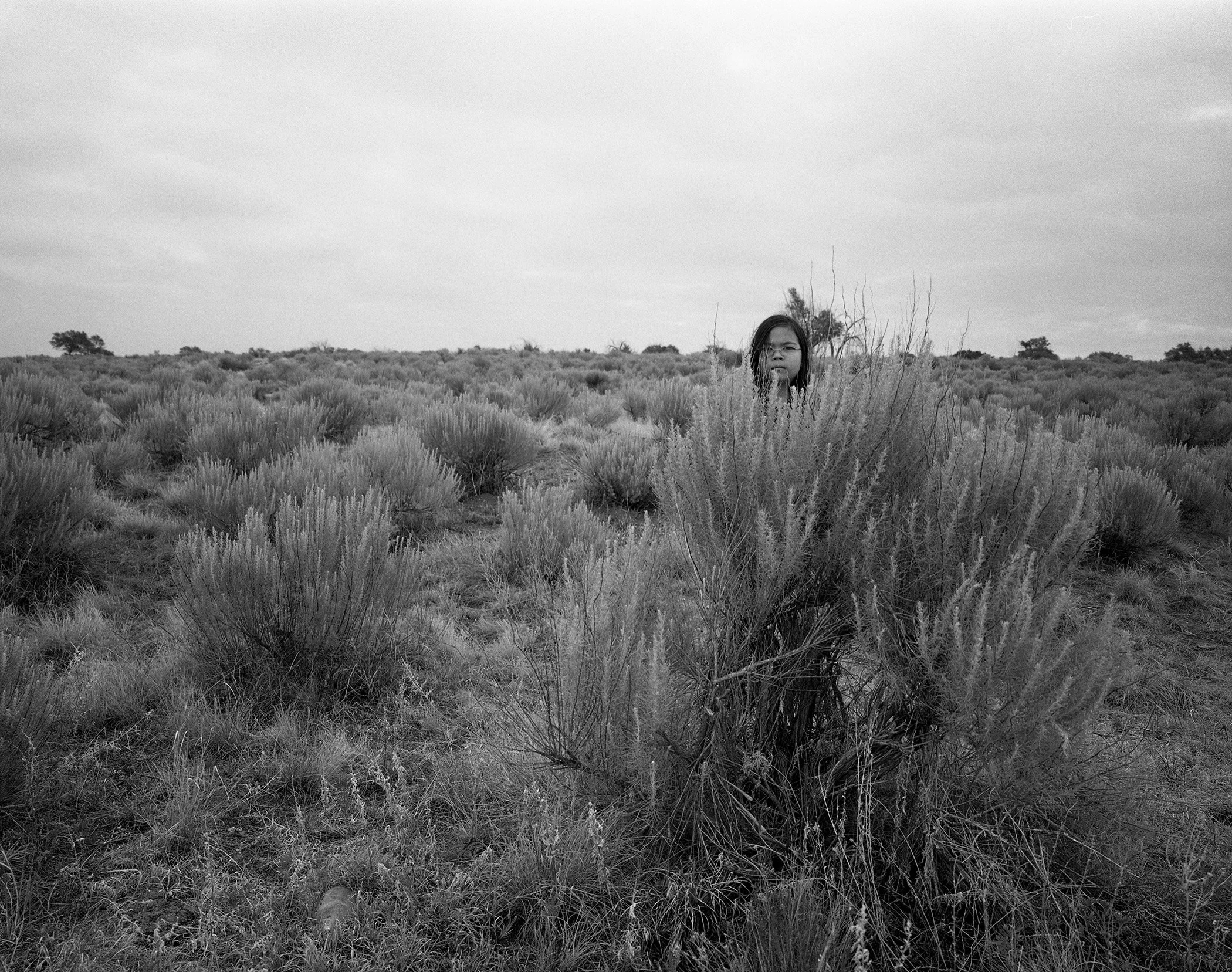 Amache Lydia grass069.jpg