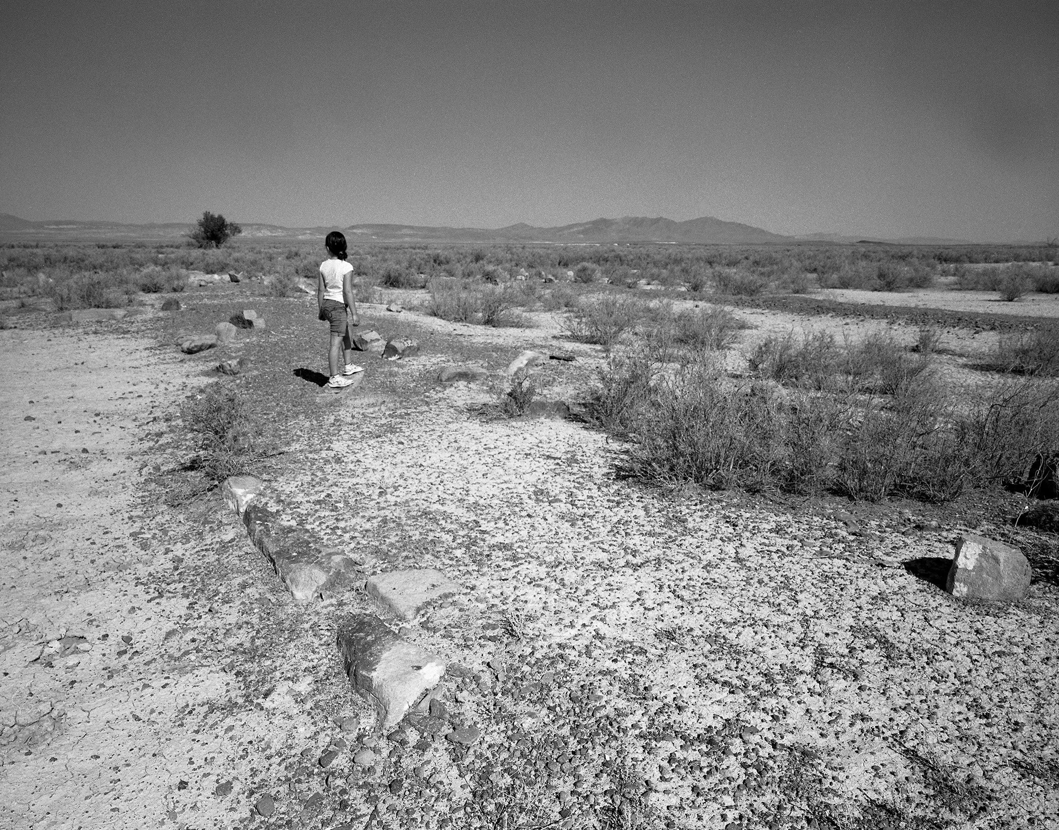 Copy of Topaz Lydia field.jpg