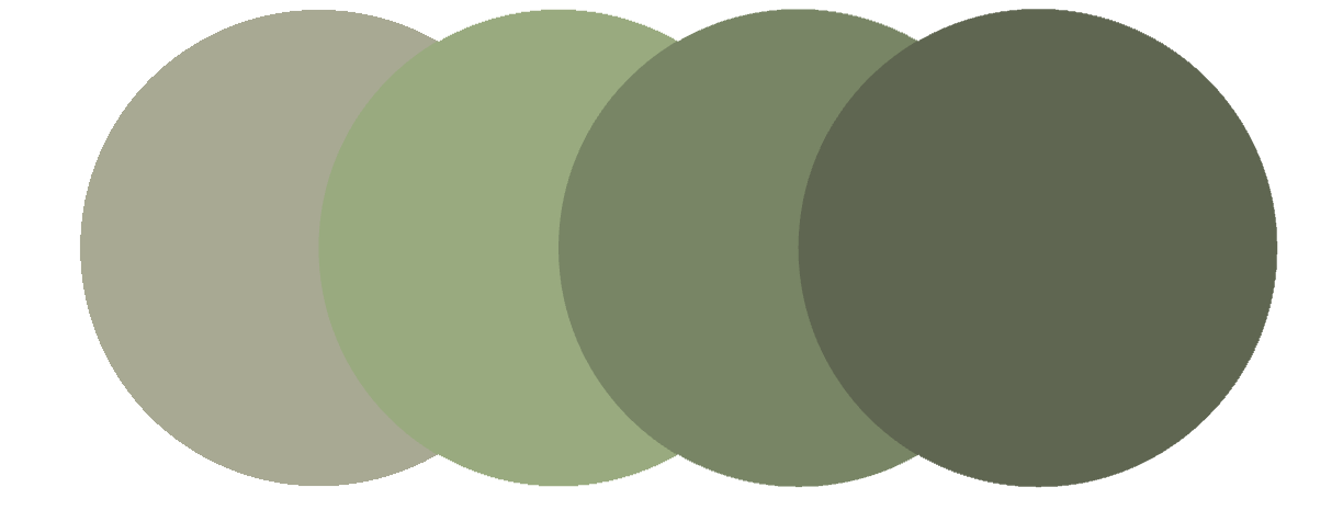 Example of colour palette giving reference to branding kit offers