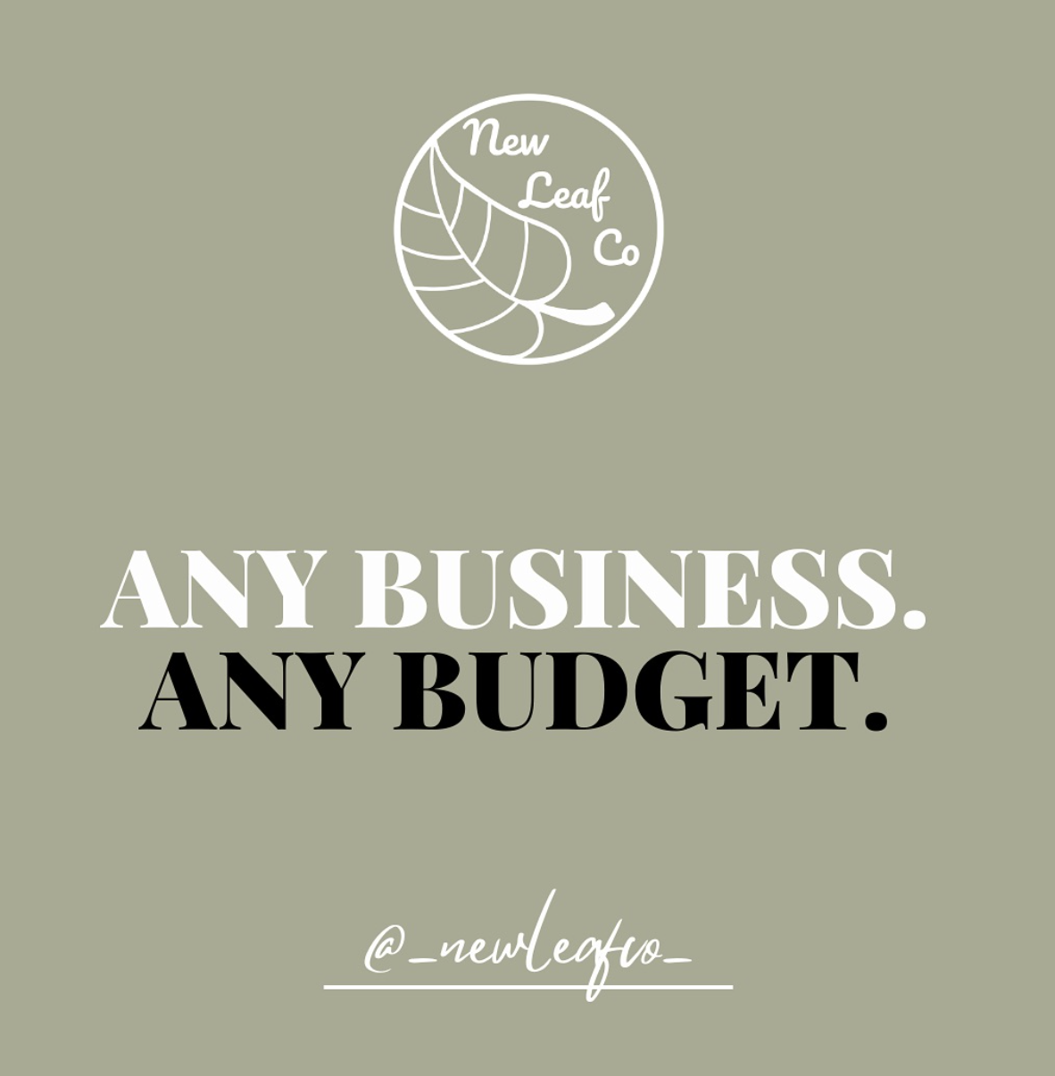 Graphic reading ‘Any business. Any budget.’ with New Leaf Collective branding, promoting accessible marketing and design services.
