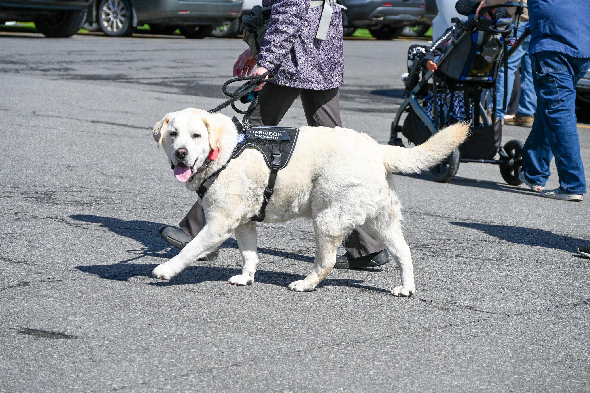 DSC_9116.jpg